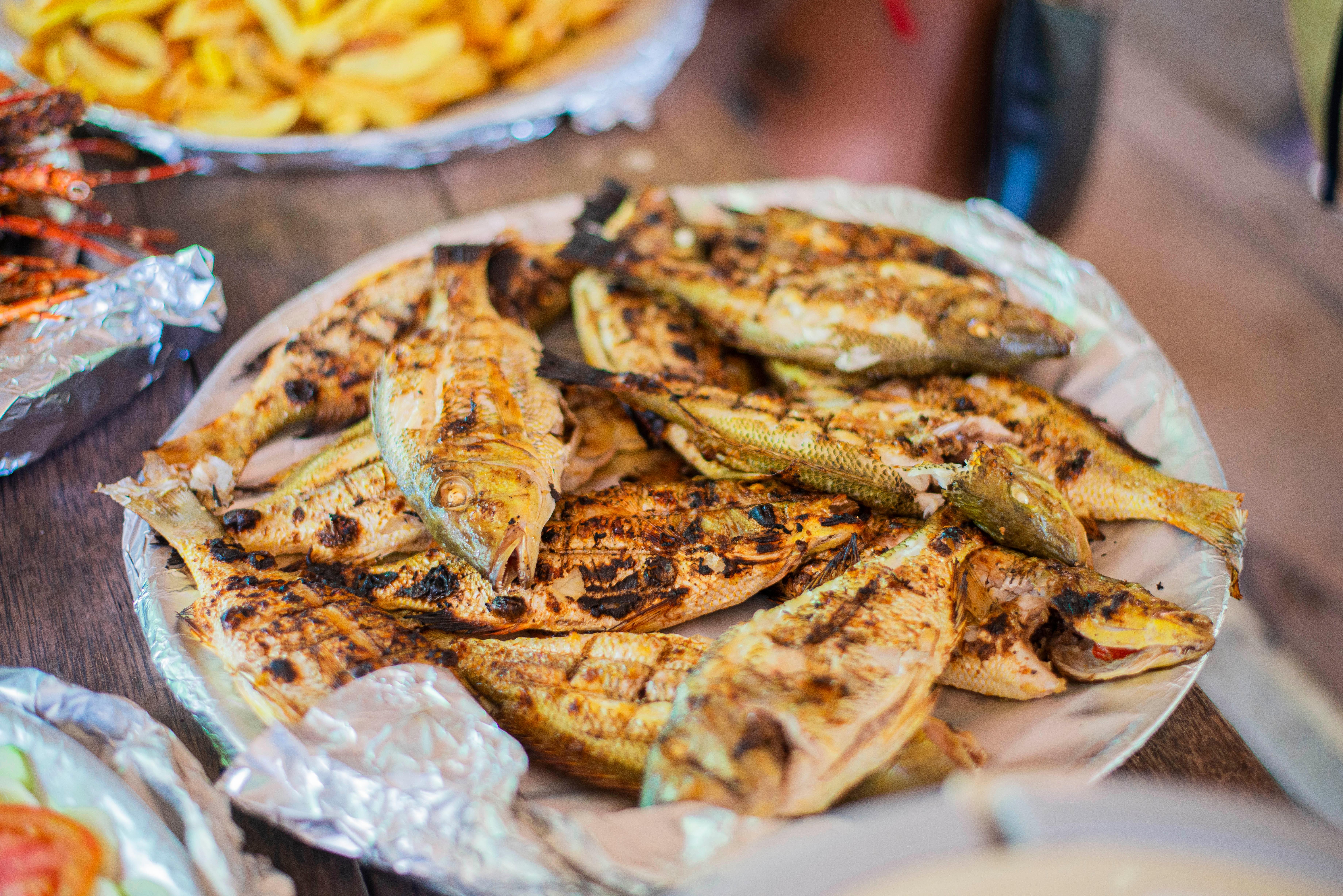 Zanzibar Safari Blue: Snorkeling, Sandbank & Seafood Lunch