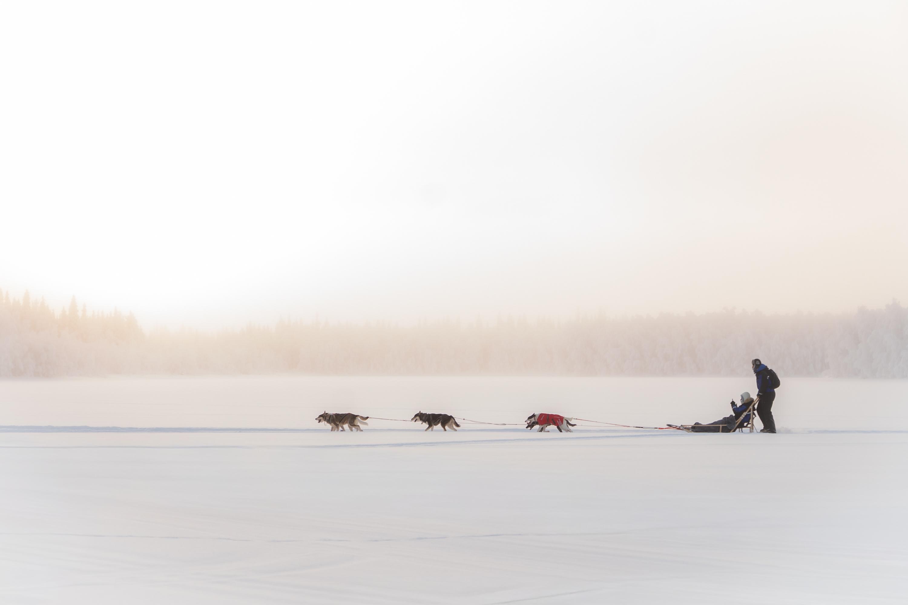Rovaniemi Daytime Husky Safari