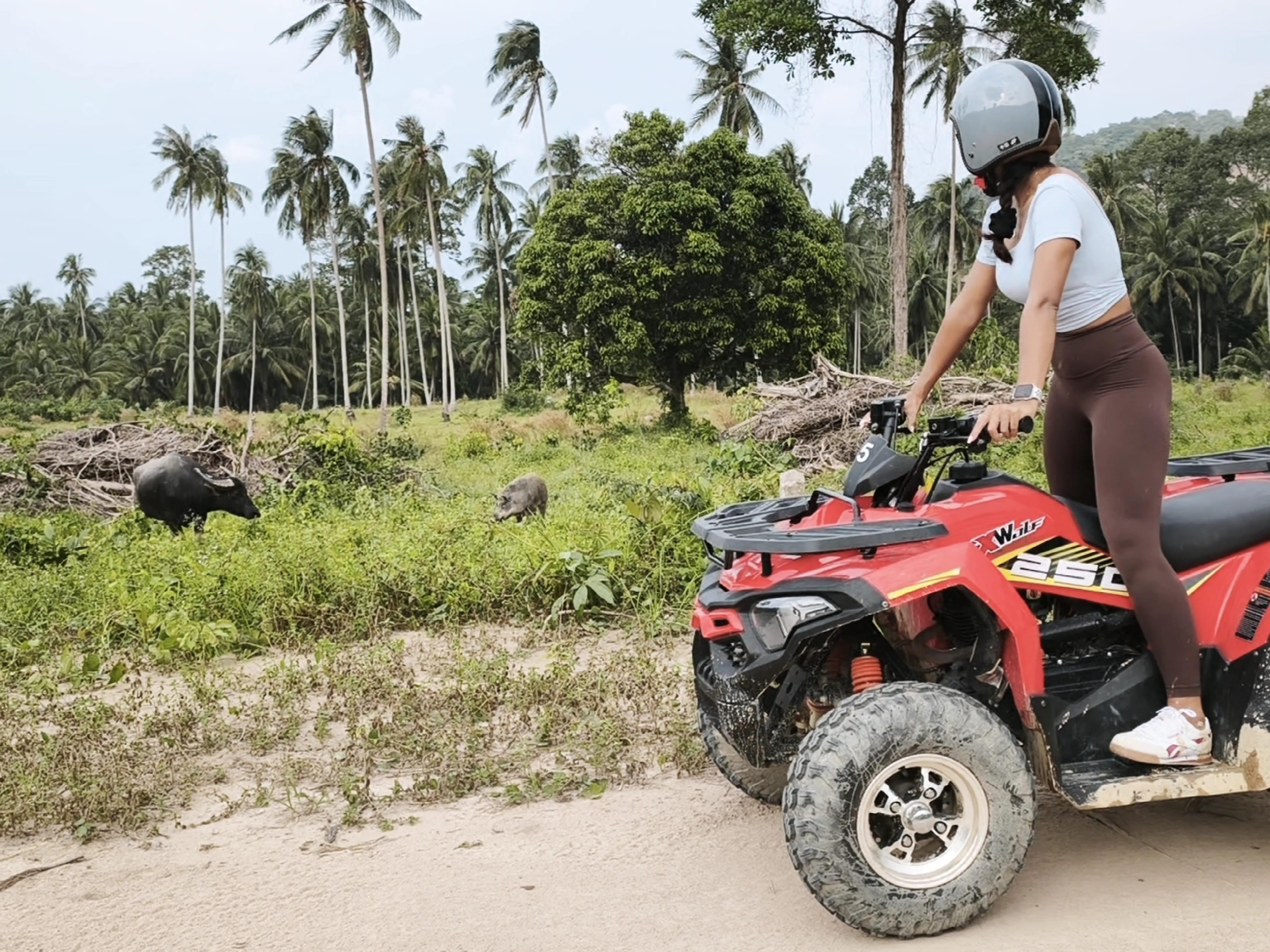Koh Samui Jungle ATV Off-Road Expedition