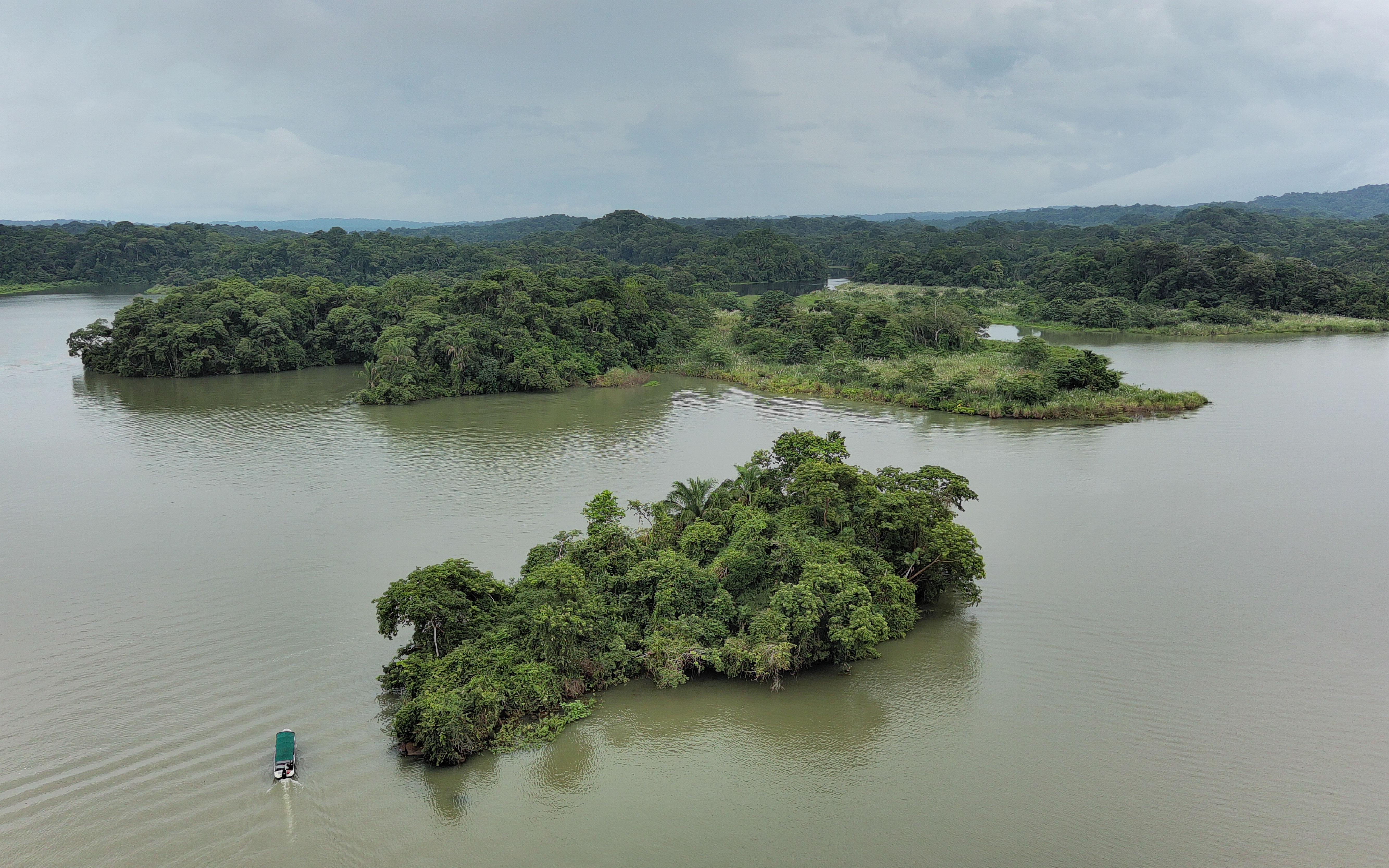 Panama Canal Wildlife Safari: Monkeys, Sloths & Rainforest