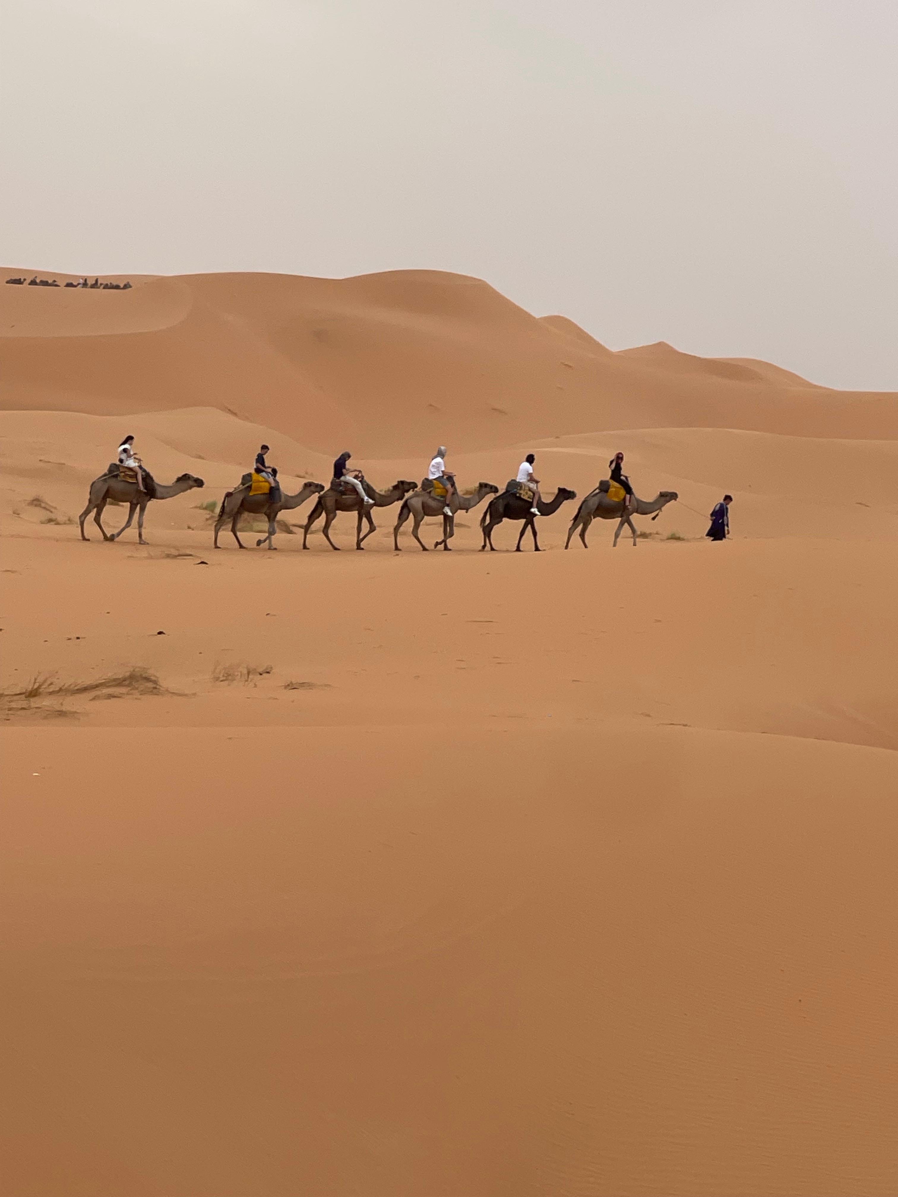 3-Day Private Desert Journey: Marrakech to Merzouga