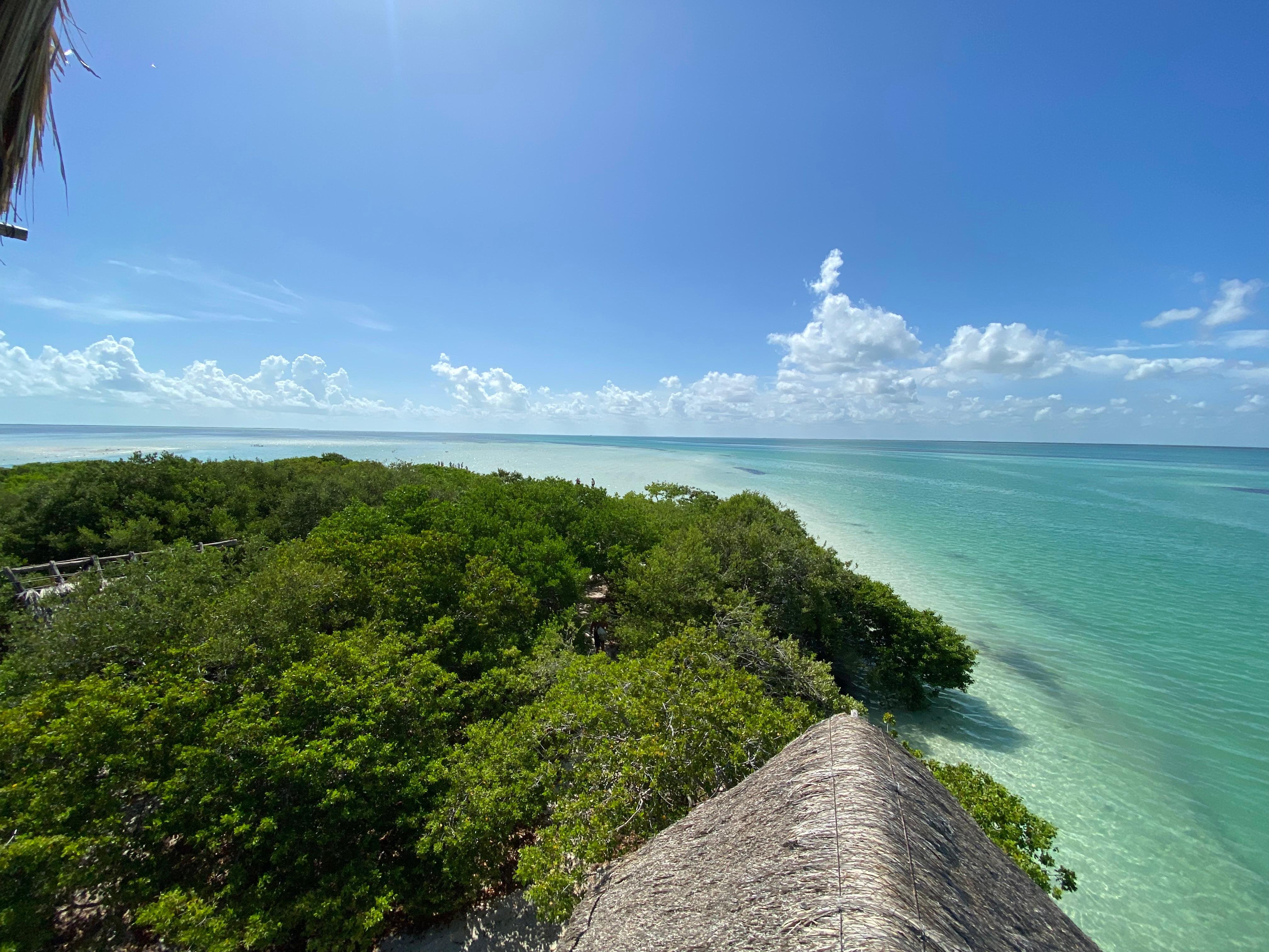 Holbox Island Boat Expedition: Yalahau Spring, Punta Mosquitos & Bird Sanctuary
