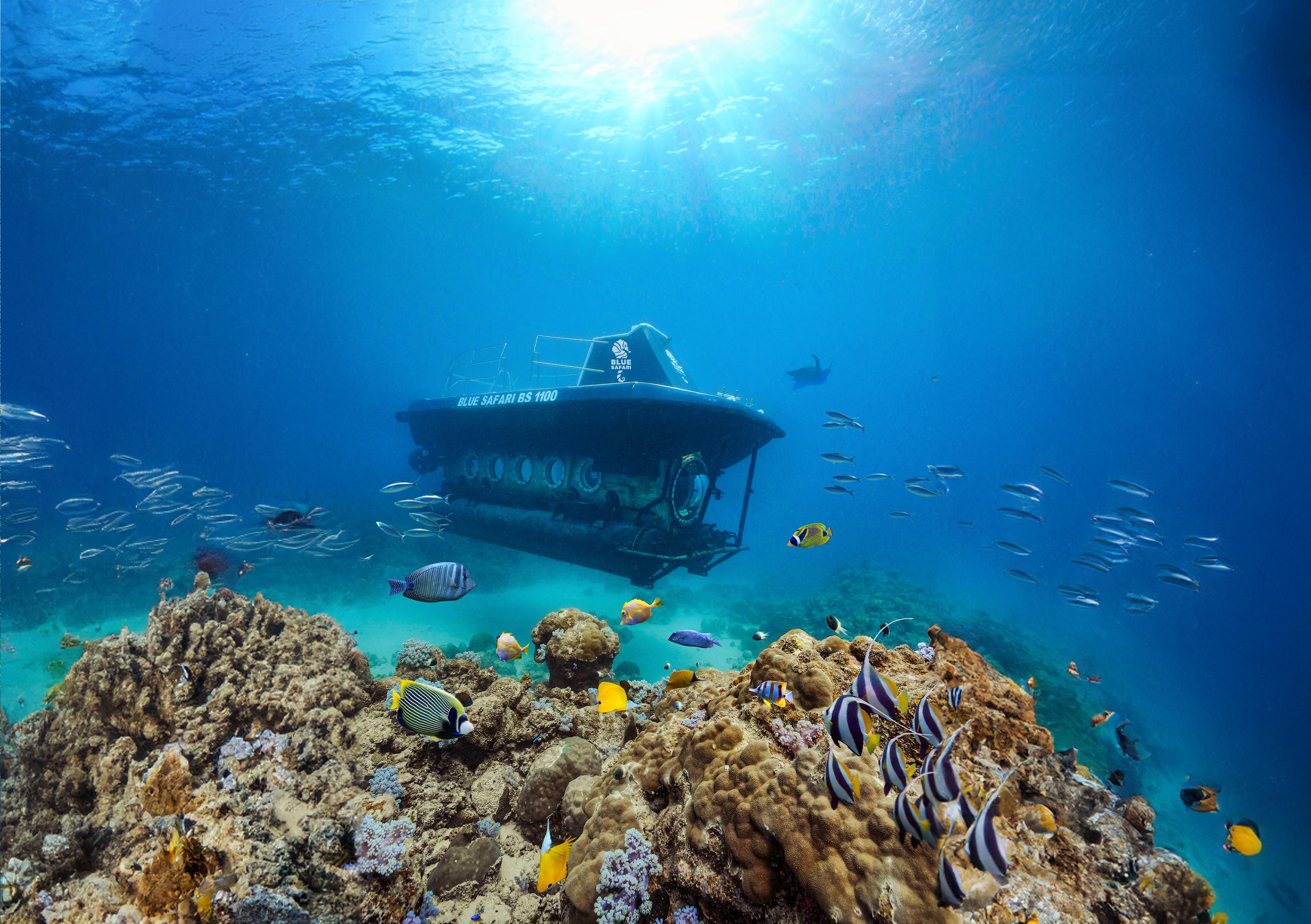 Trou-aux-Biches Submarine Deep-Sea Wreck Expedition