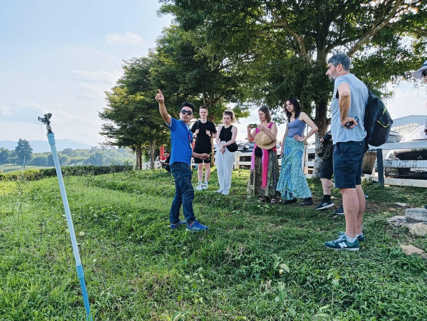 Chiang Rai: Golden Triangle & 7-Landmark Guided Day Tour