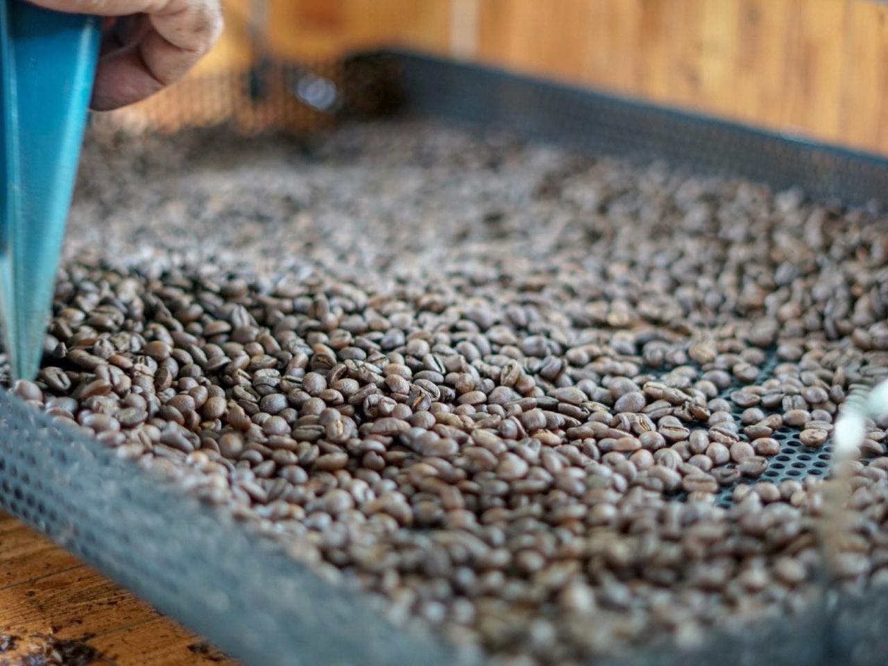 La Fortuna: North Fields Coffee & Chocolate Farm Tour