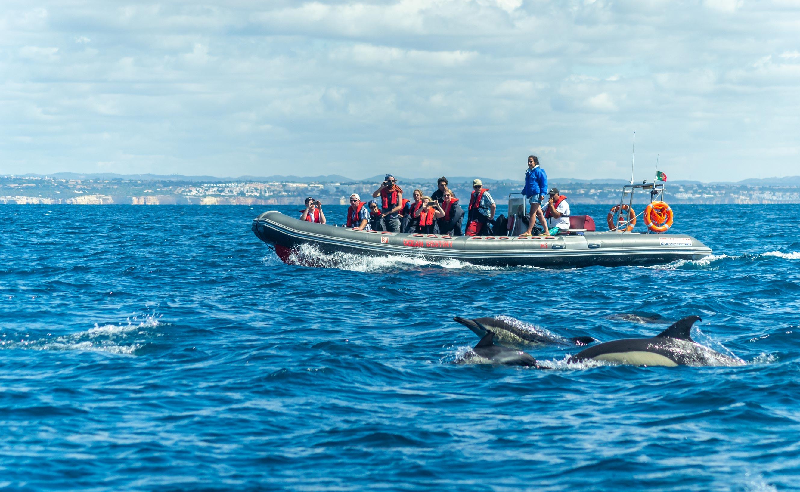 Private Dolphin Watching & Benagil Caves RIB Adventure