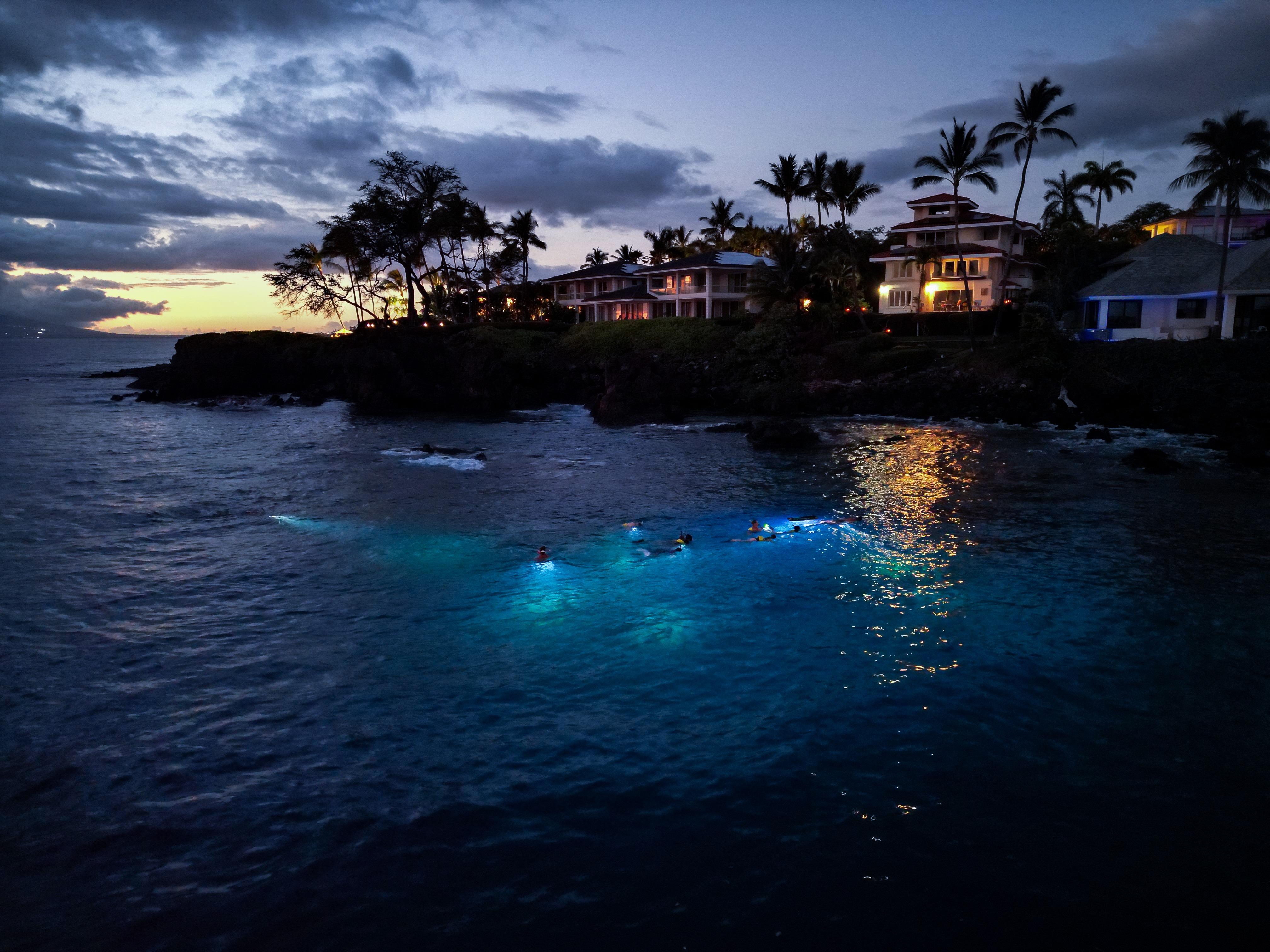 Turtle Town Night Snorkel with Dive Lights