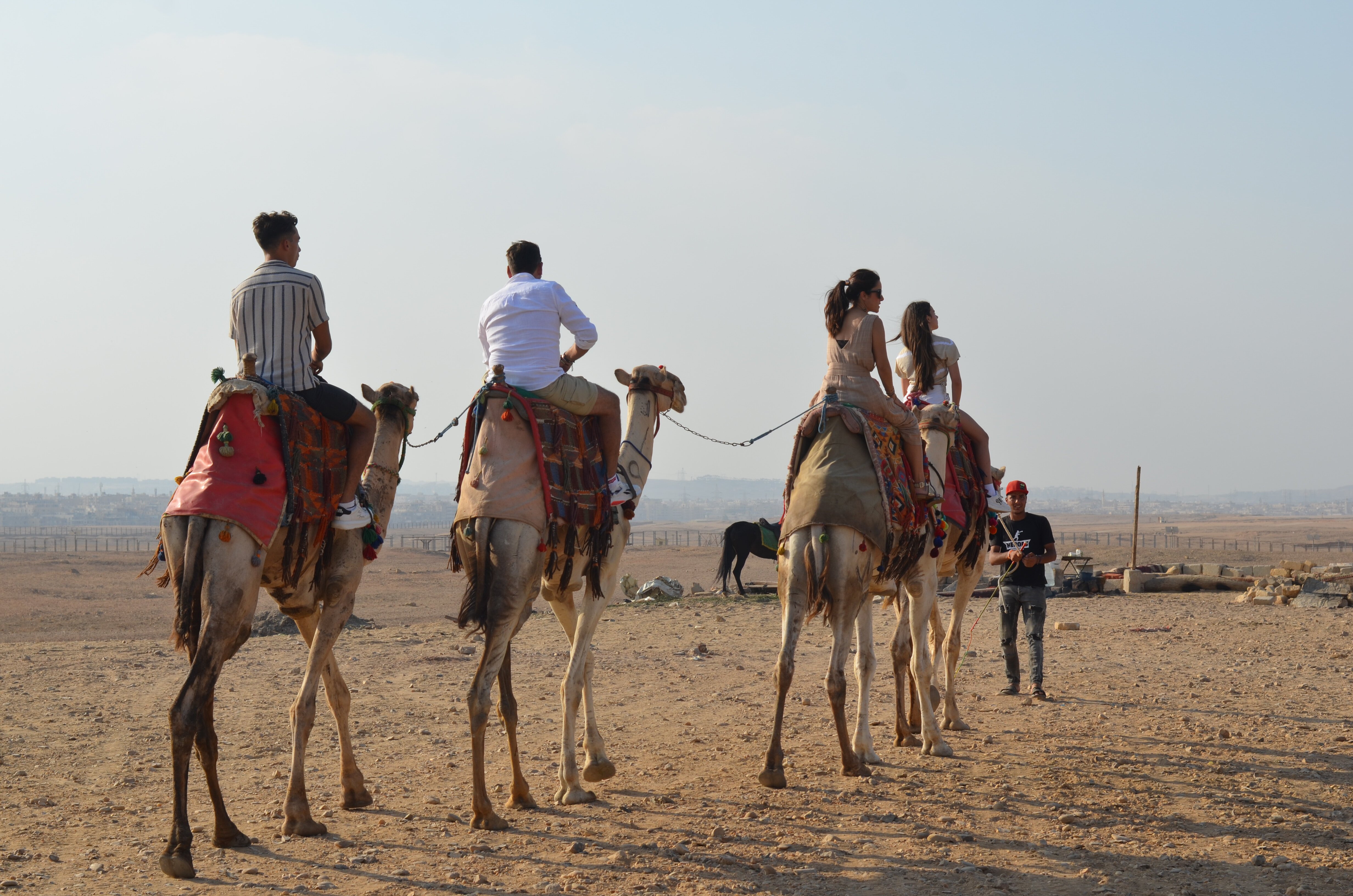 Giza Pyramids Camel Safari with Hotel Transfers