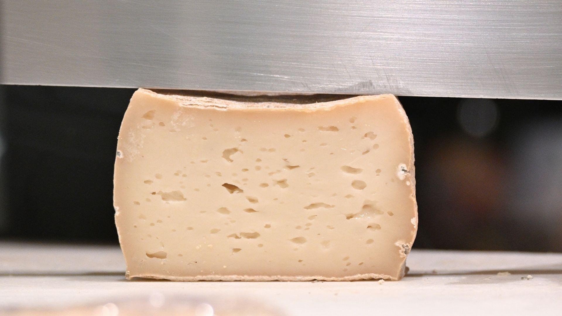 cheese tasting in Nice — photo 6