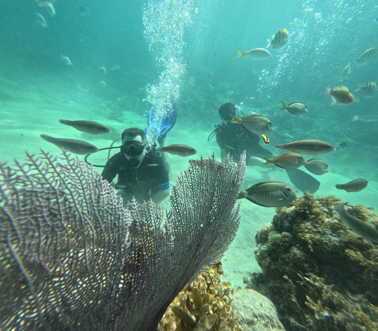 Beginner Scuba Diving Experience in Punta Cana