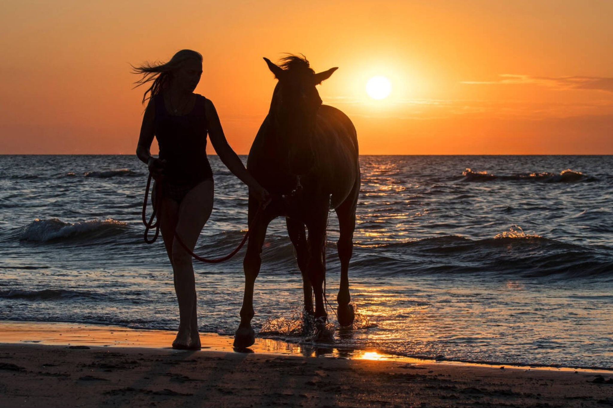 Casablanca Horseback Riding Adventure by the Sea