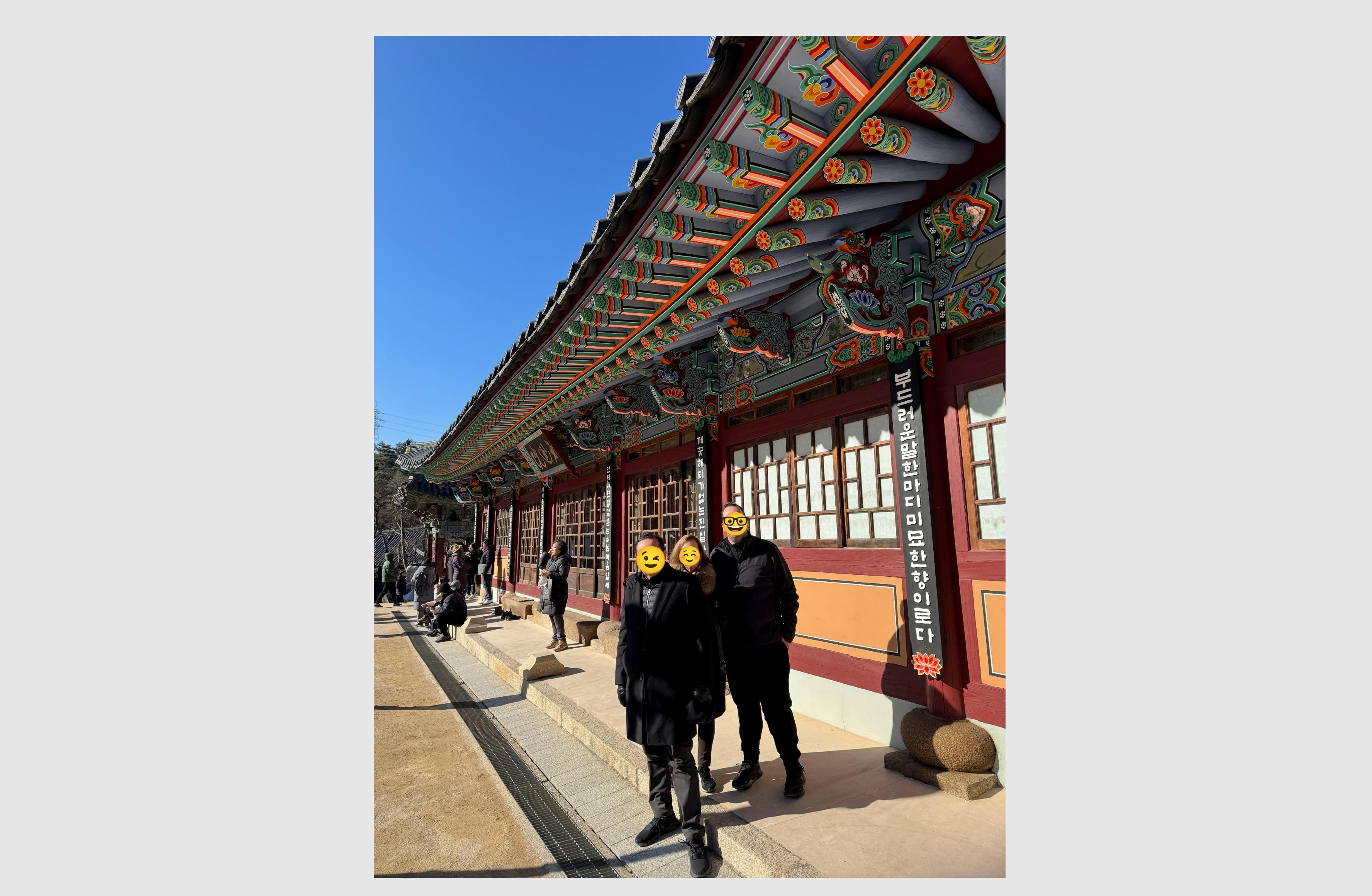 Seoul Private Luxury Vehicle Tour (English & Spanish Guide)