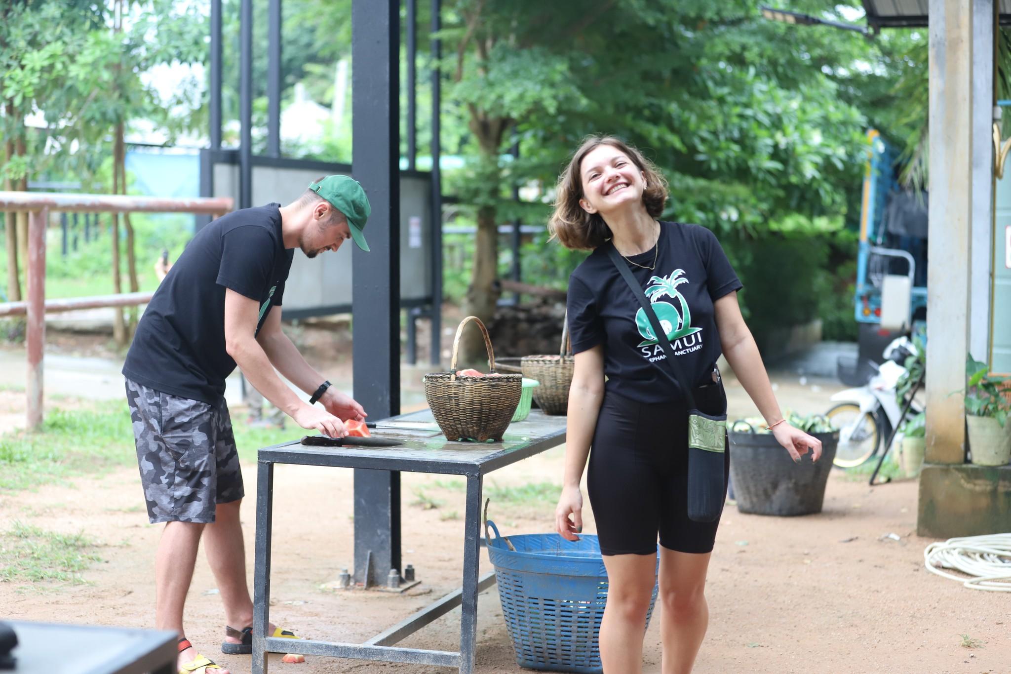 Samui Ethical Elephant Sanctuary Half-Day Experience