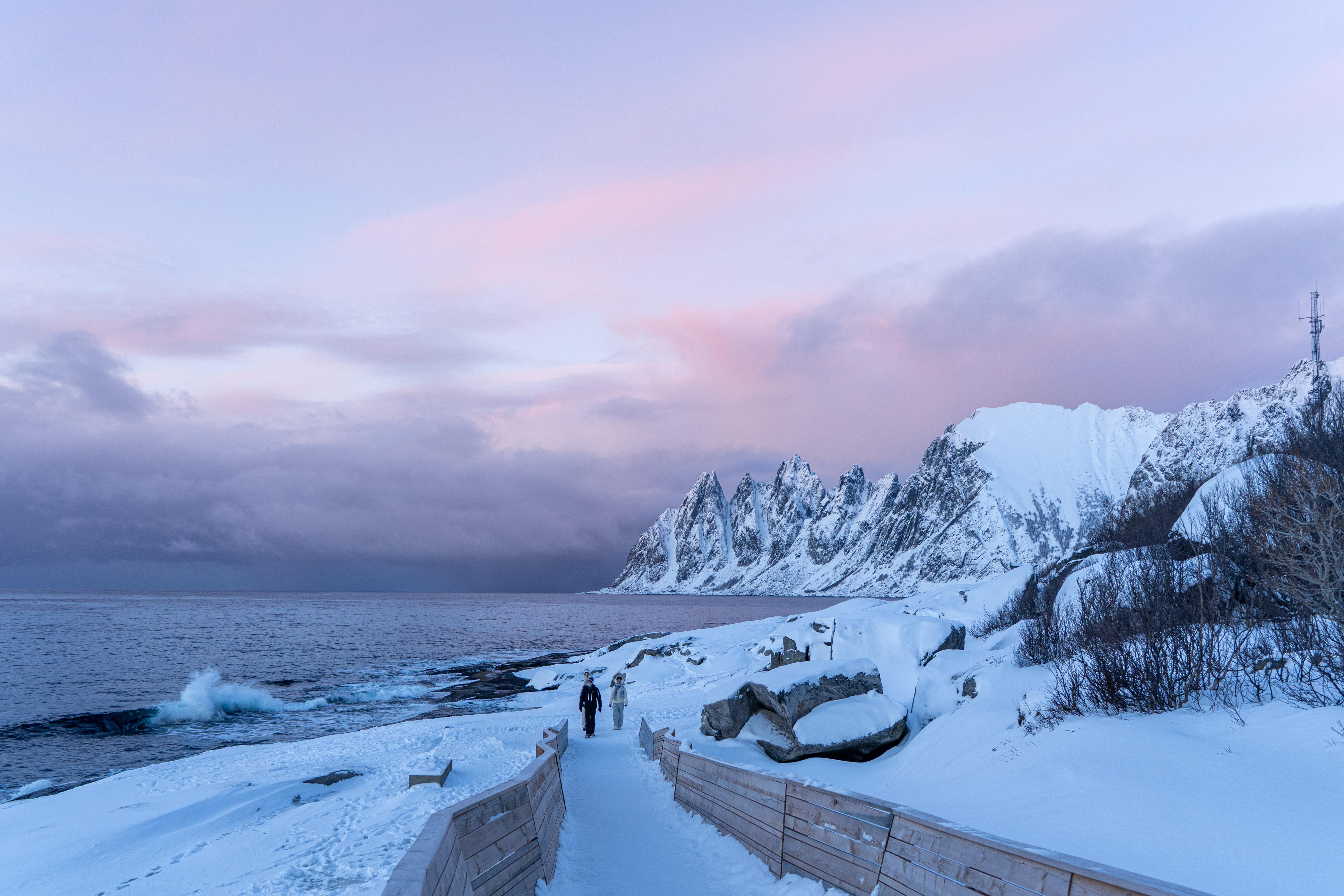 Senja Arctic Island Adventure with Ferry & Lunch