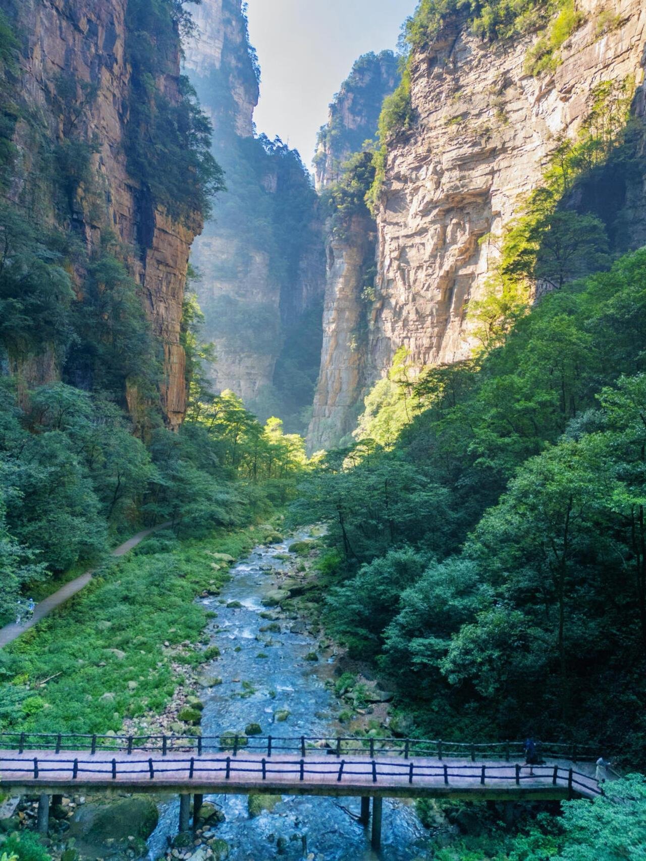 Zhangjiajie National Park Early-Start Hiking Tour