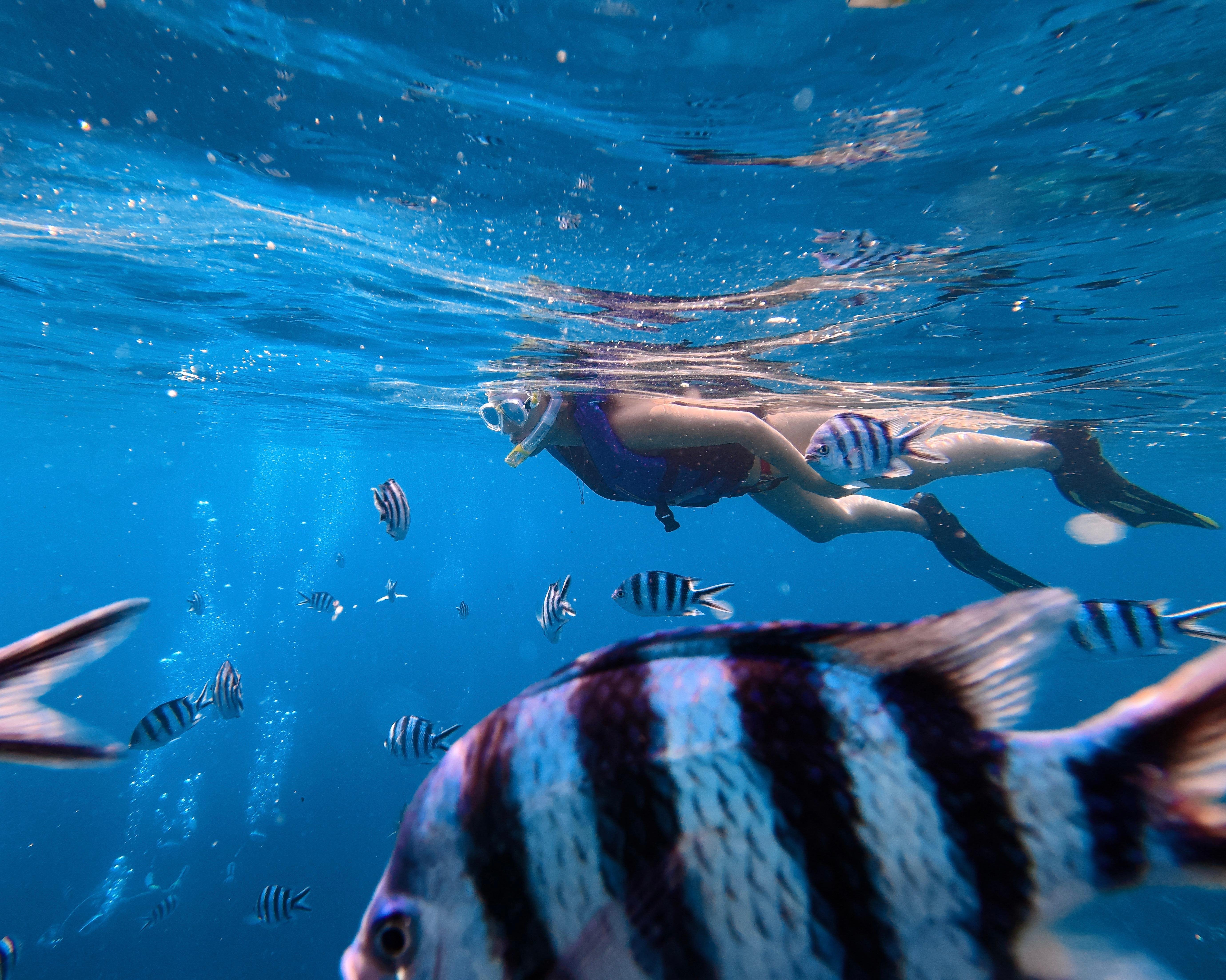 Blue Cave Okinawa snorkelling at Cape Maeda, Onna Village — image 35
