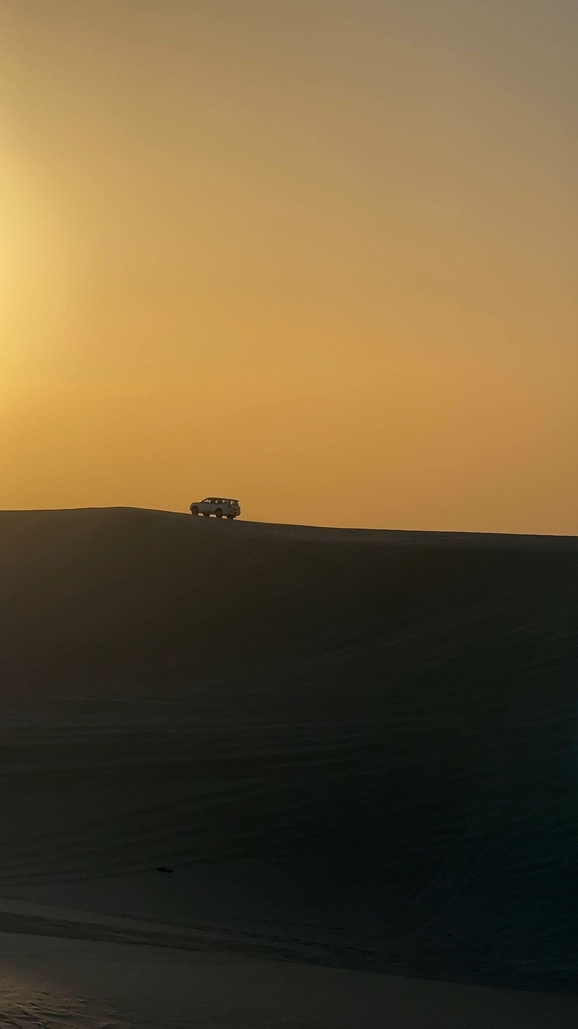 Private Doha Desert Safari: Dune Bashing, Camel Ride & Falconry