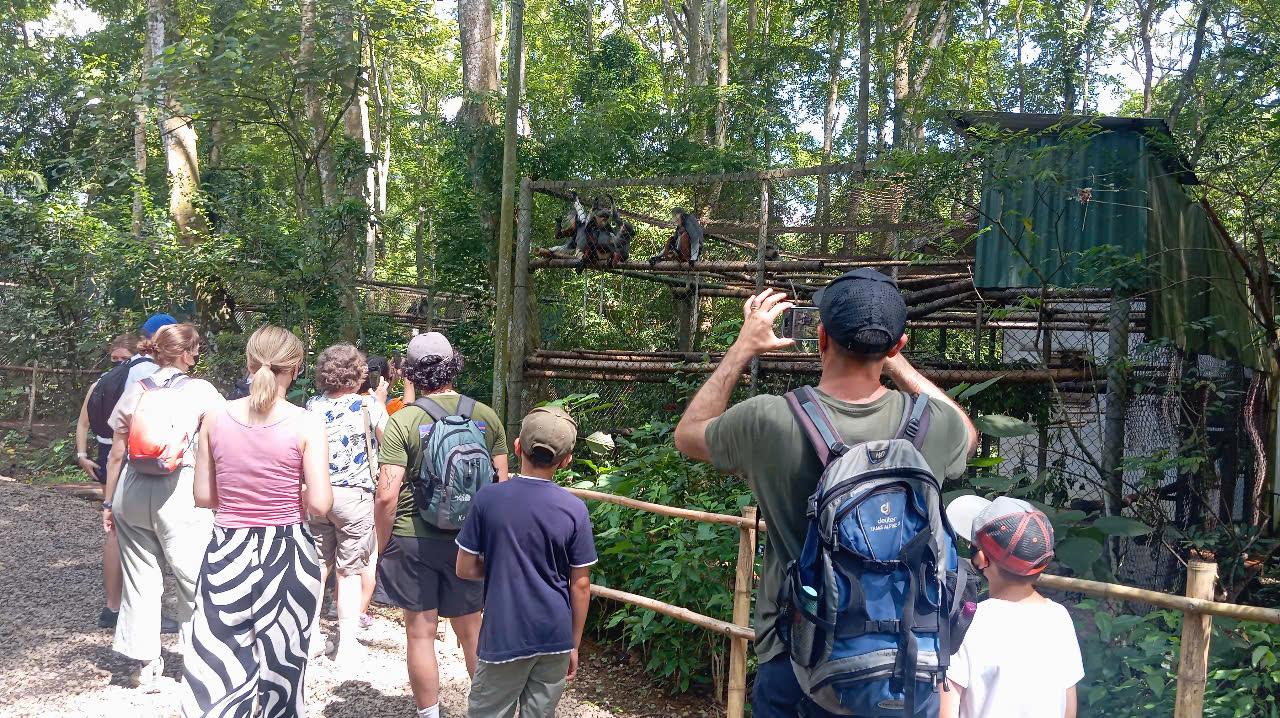 Cuc Phuong National Park: Jungle Trek & Wildlife Day Trip from Ninh Binh