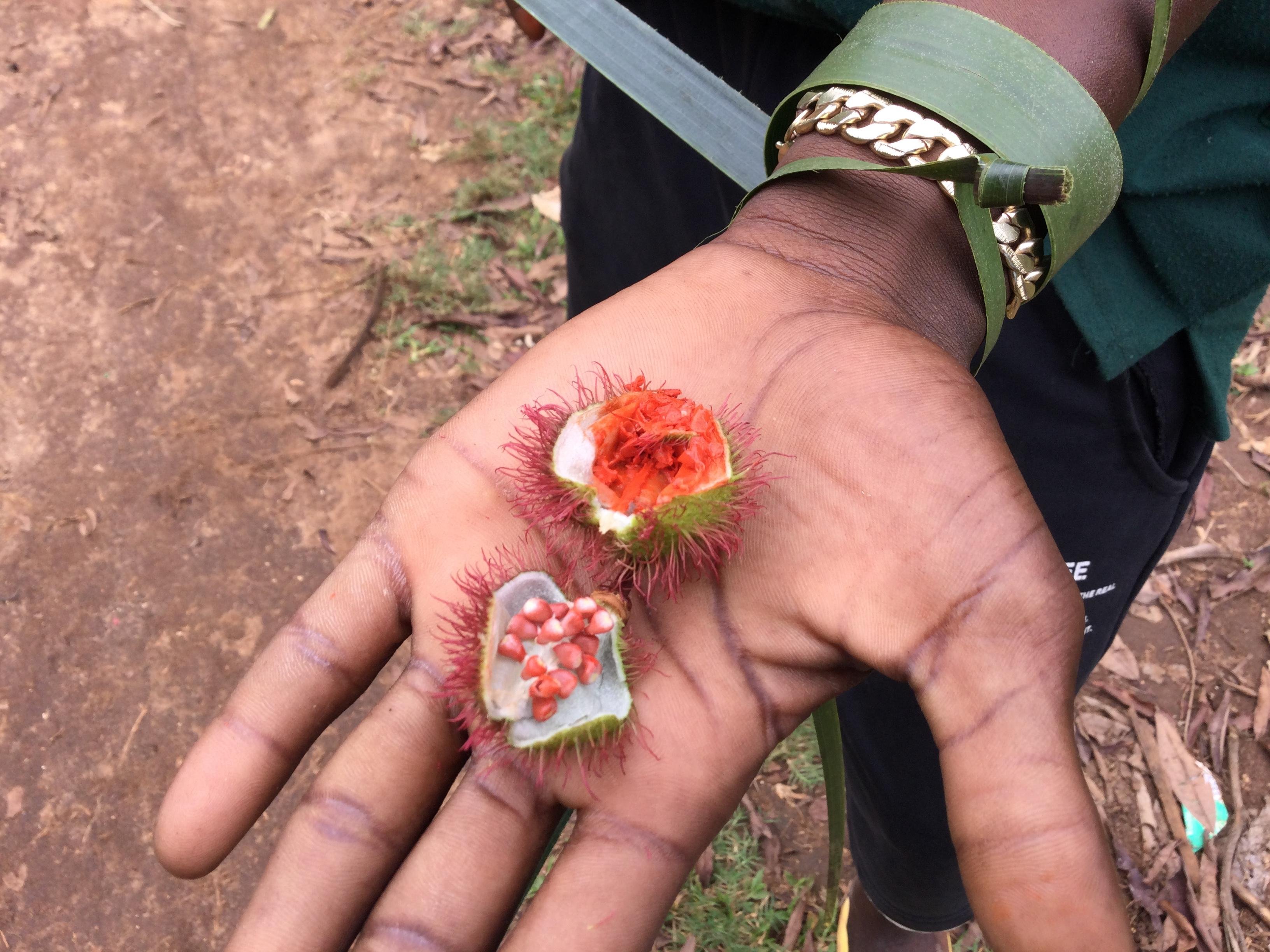 Zanzibar Spice Farm & Stone Town Private Day Tour with Swahili Lunch