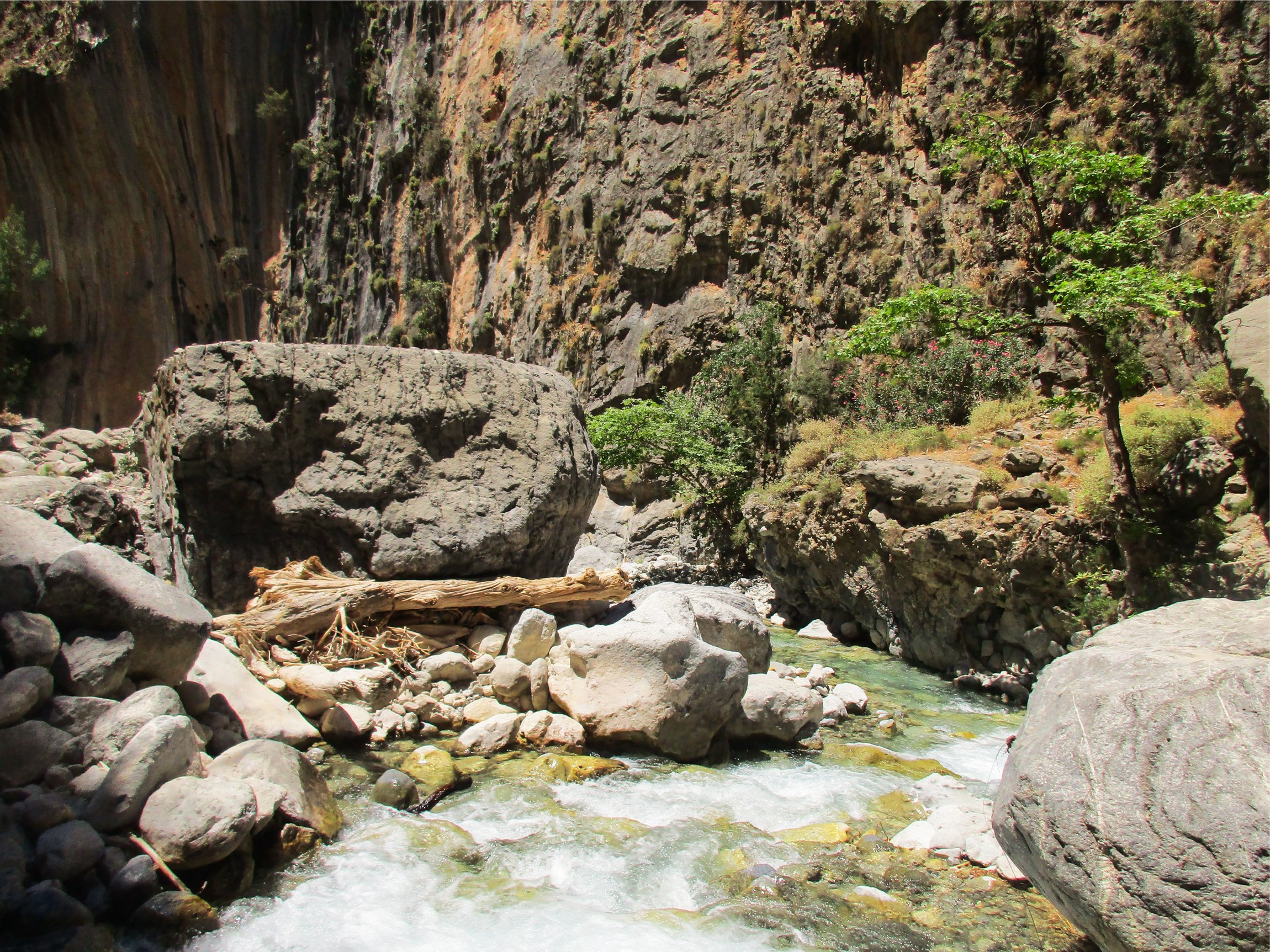 Samaria Gorge hike Crete — Xyloskalo descent, Iron Gates Sideroportes, kri-kri ibex, Agia Roumeli Libyan Sea — image 14