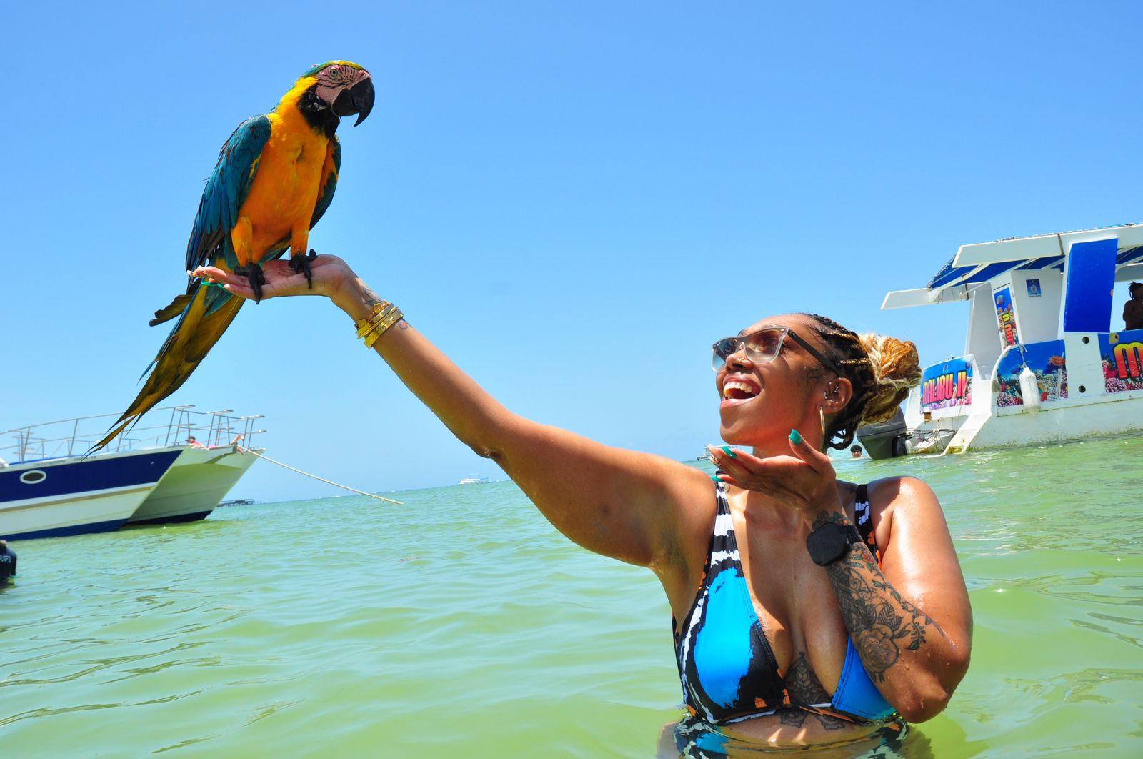 Punta Cana Catamaran Party Cruise with Snorkeling & Open Bar