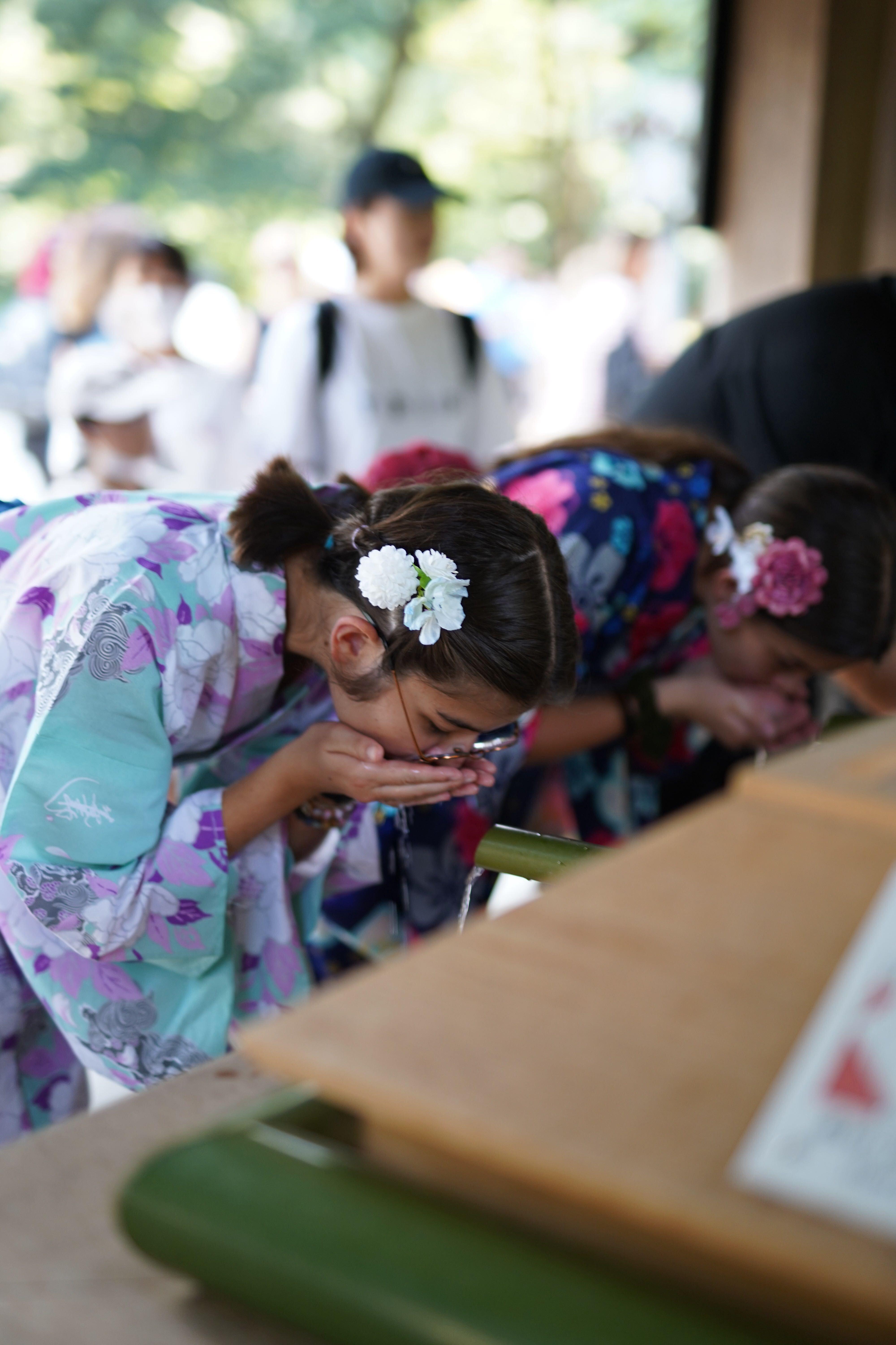 :Tokyo,Shibuya /Meiji Shrine tour in KIMONO/English-friendly