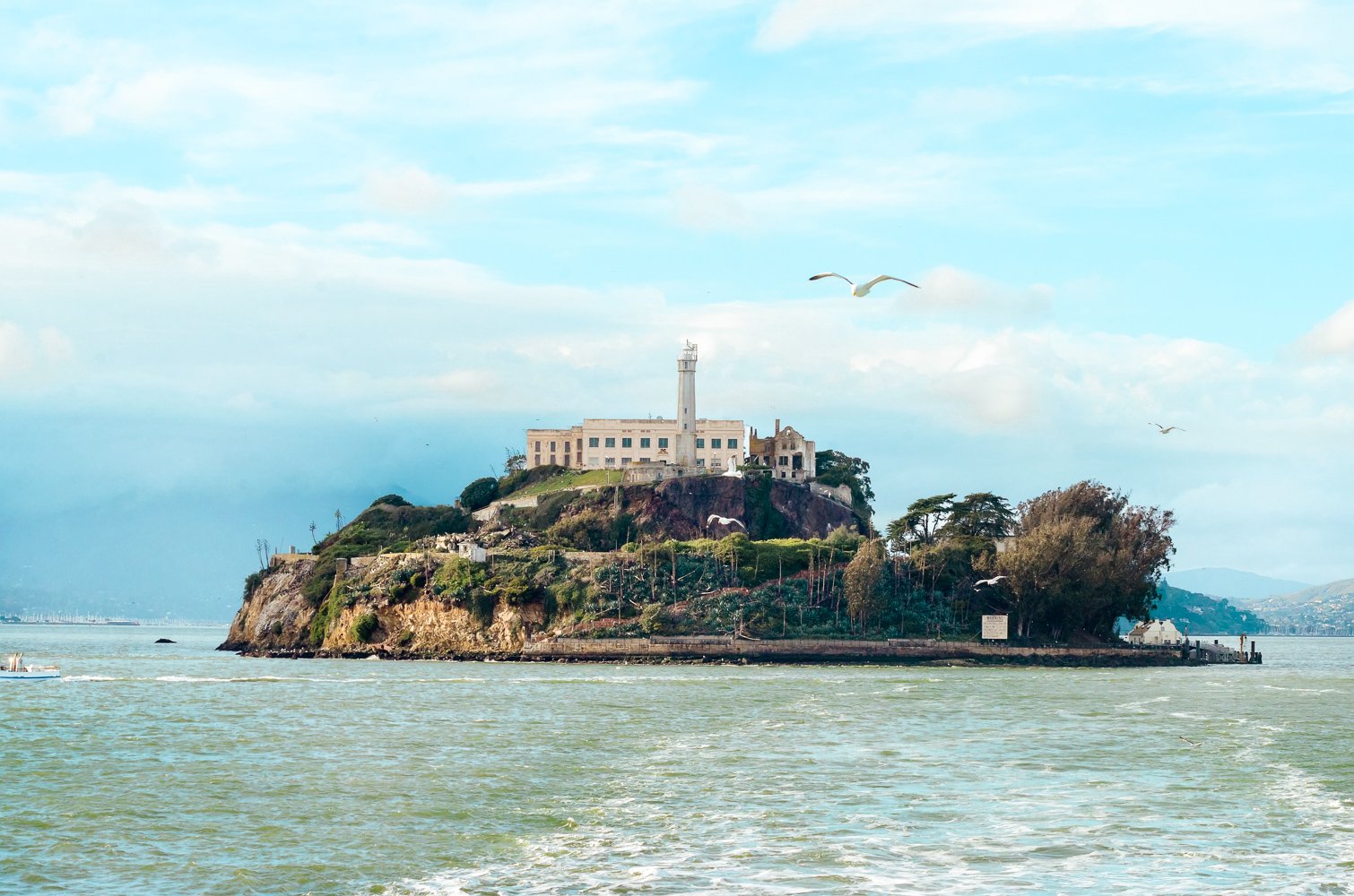San Francisco: 2-Day Hop-On Hop-Off Bus & Alcatraz Island Tour