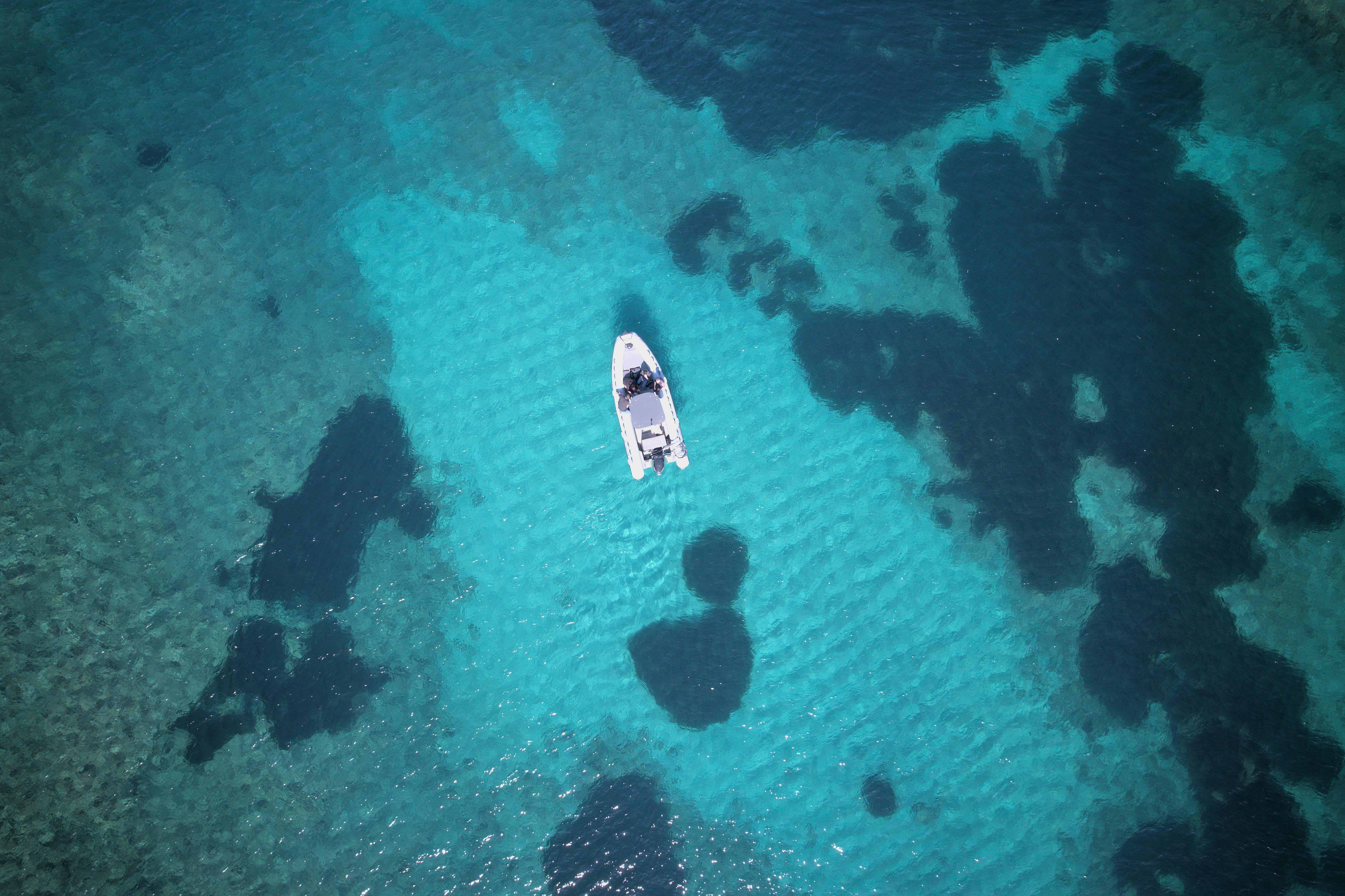 Porto Conte Hidden Coves RIB Boat Tour