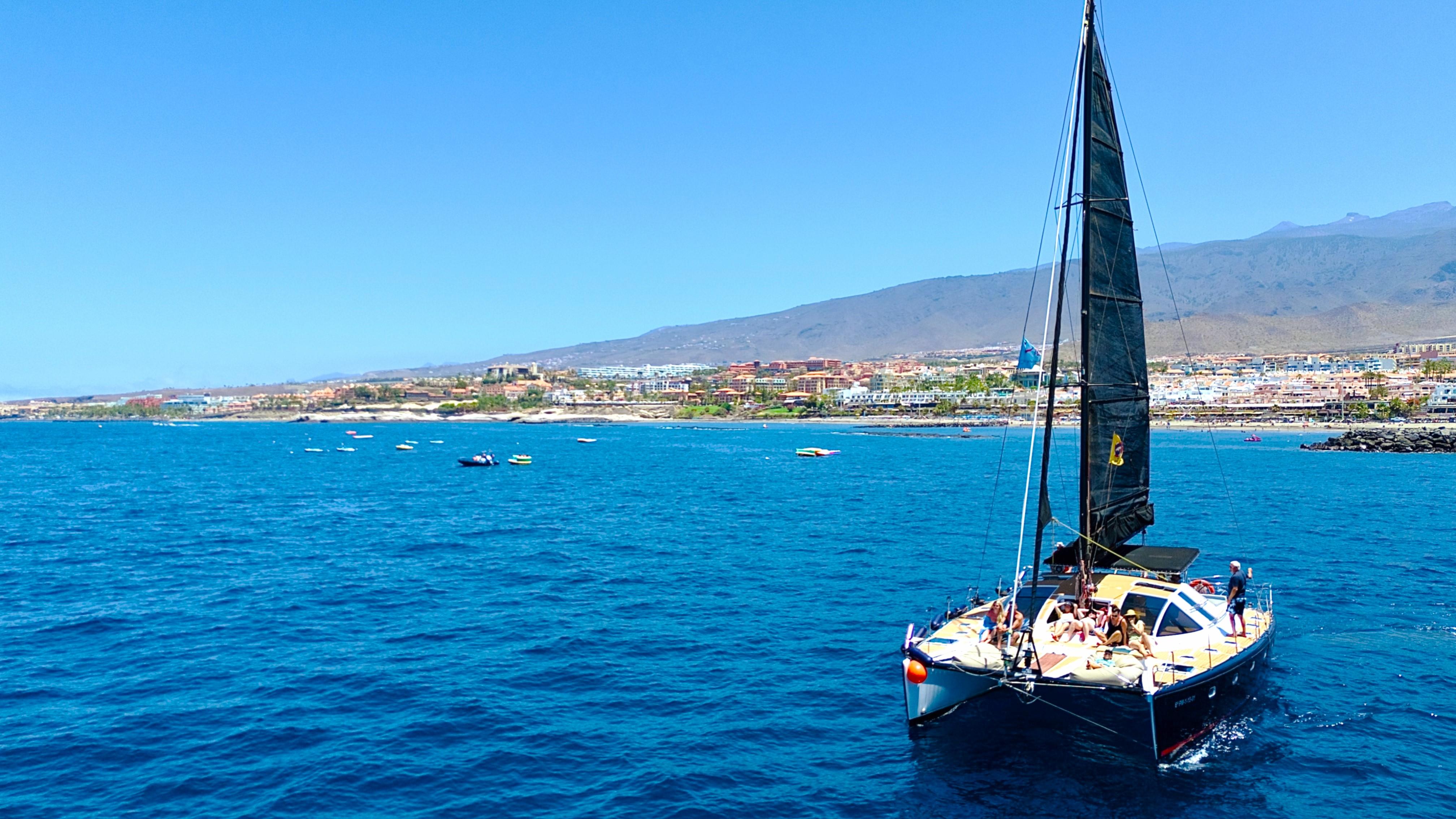 Adults-Only Catamaran Whale & Dolphin Watching