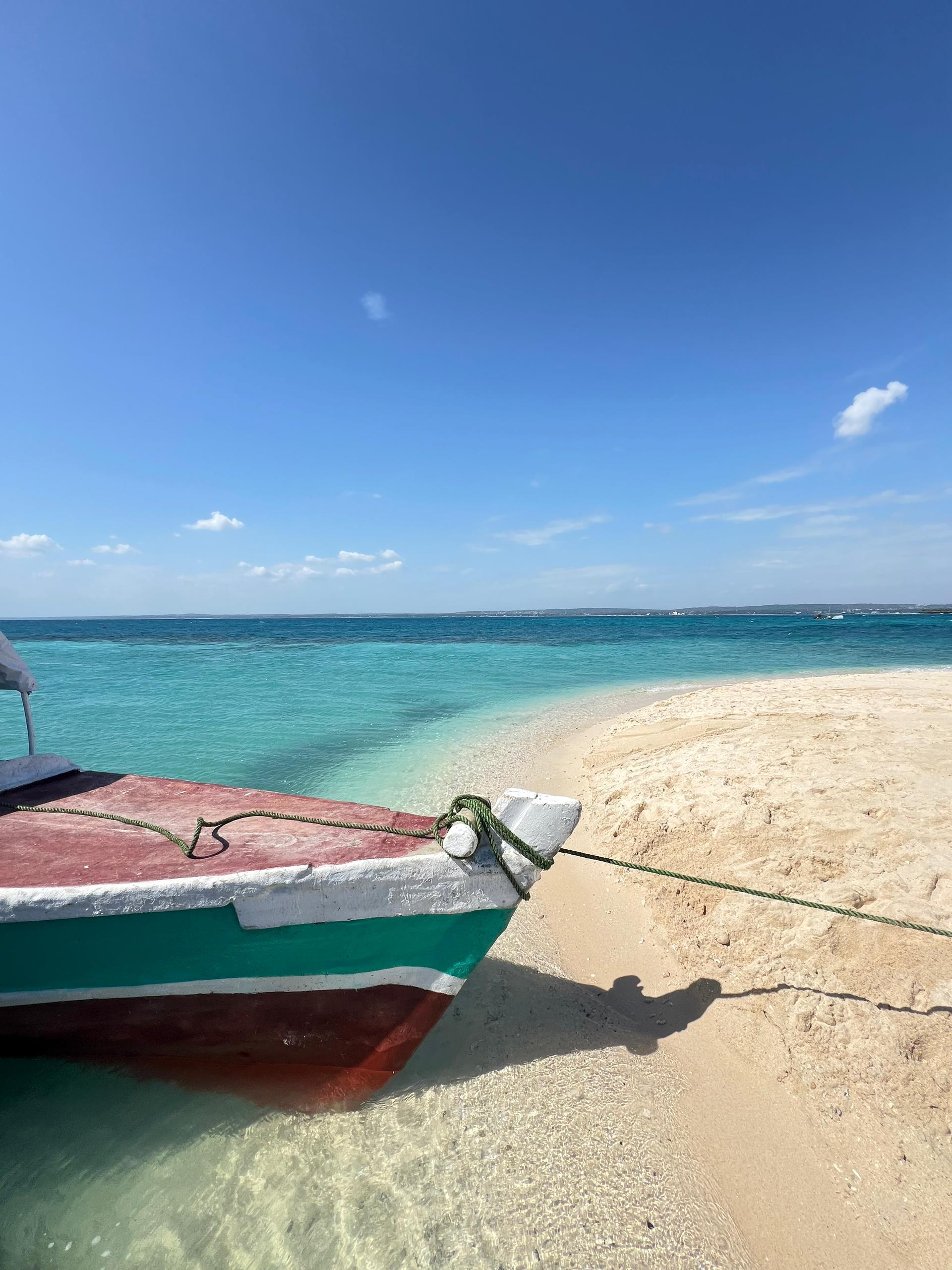 Zanzibar Full-Day Tour: Prison Island, Nakupenda Sandbank & Stone Town BBQ