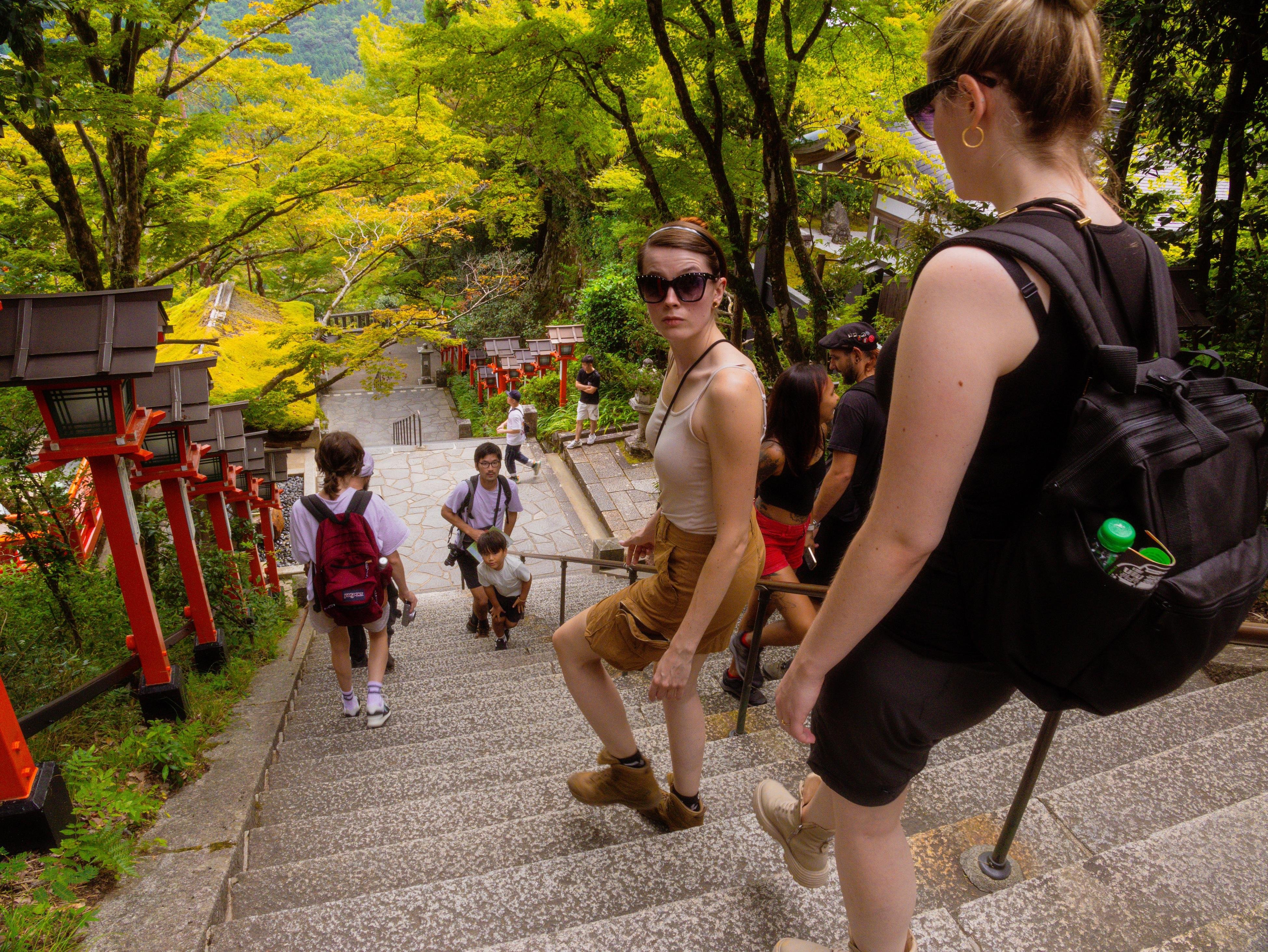 Kyoto experience — temples, geisha, bamboo grove — image 8