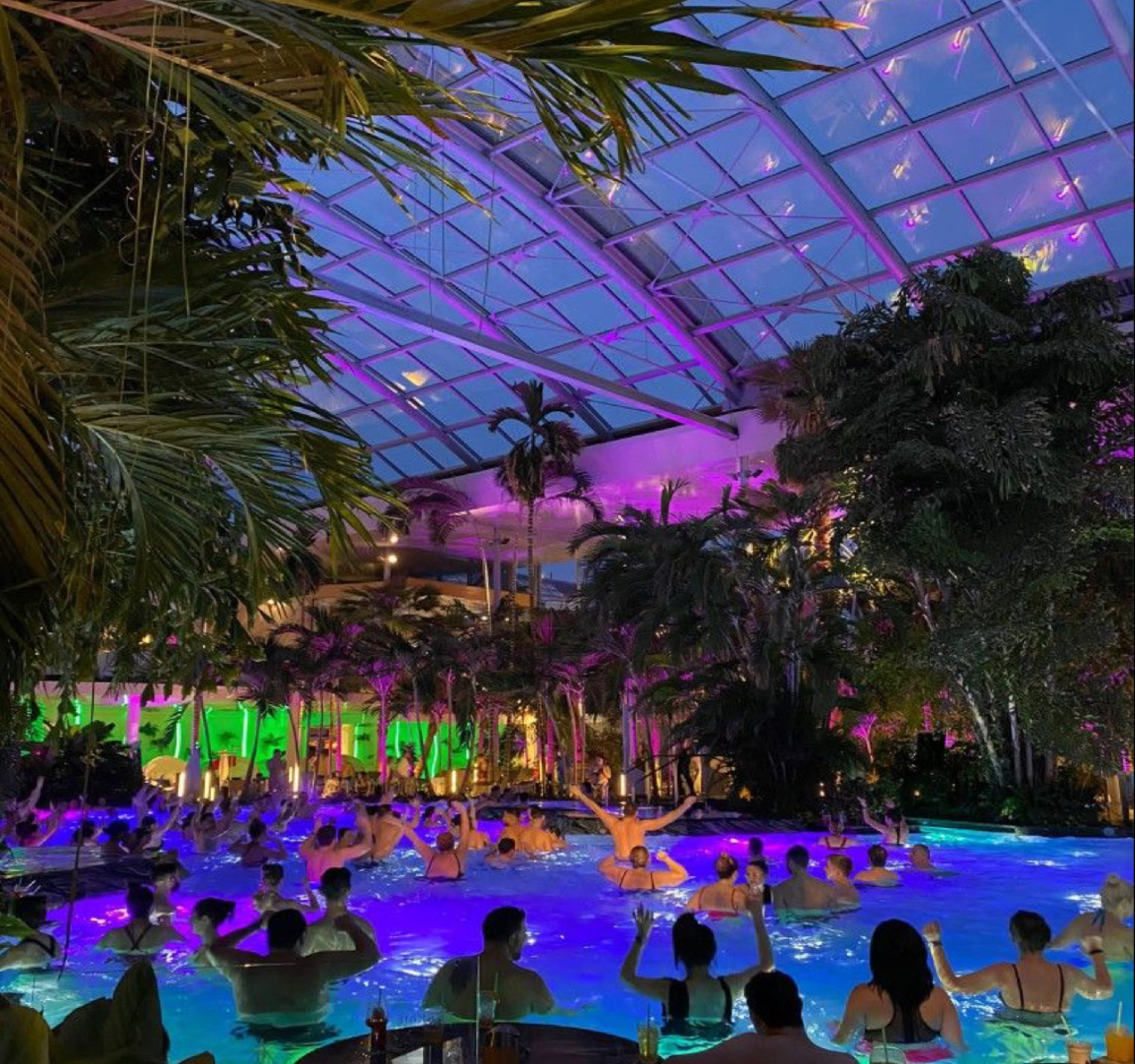 Therme Bucharest: Official Wellness & Thermal Spa Entry