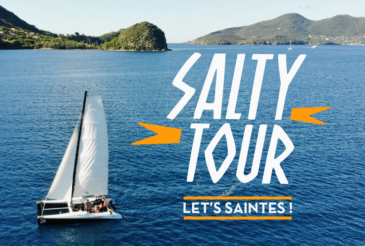 Les Saintes Catamaran Adventure with Turtles & Beach Aperitif