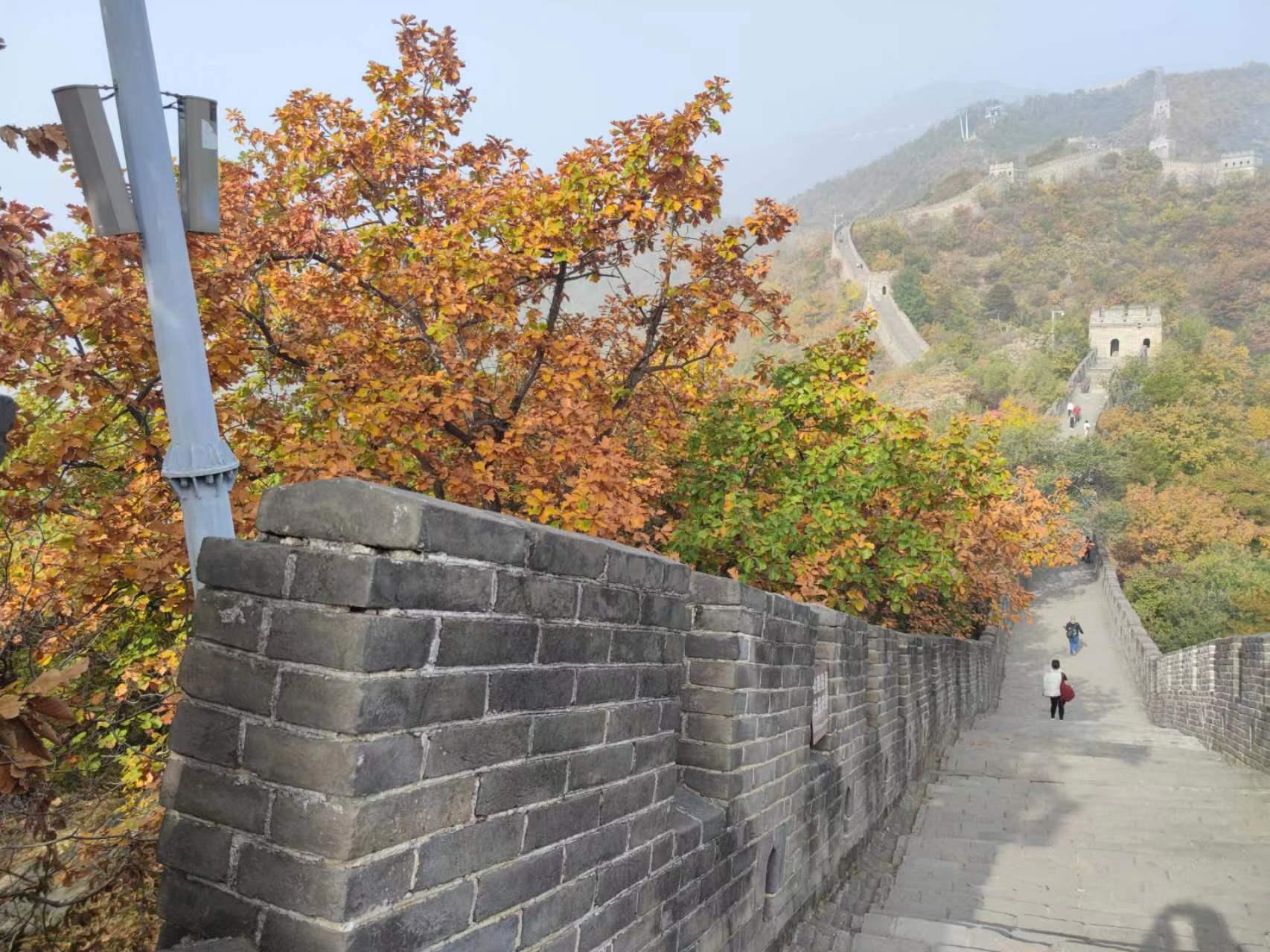 Beijing Private Tour: Mutianyu Great Wall & Forbidden City