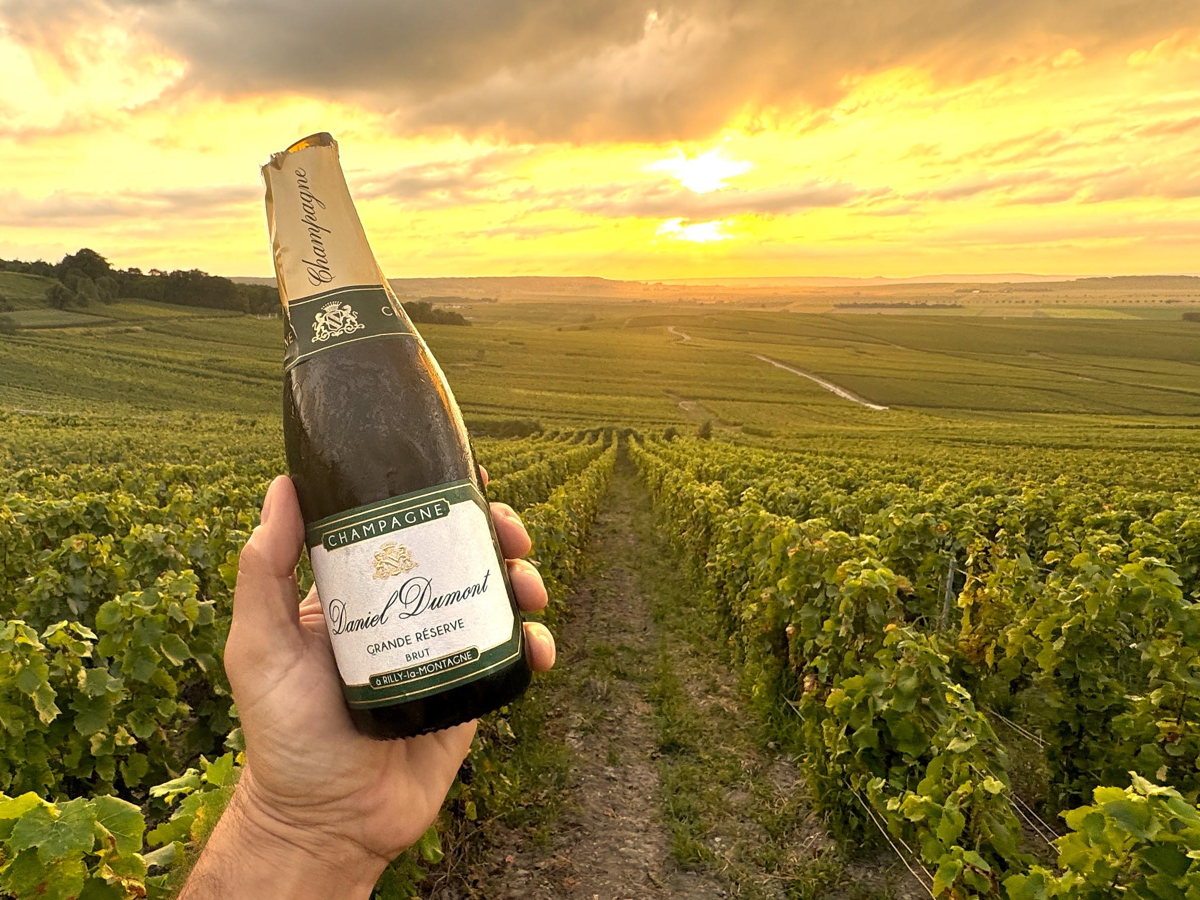 Pommery Champagne tour — Reims château, UNESCO crayères, contemporary art cellars — image 10