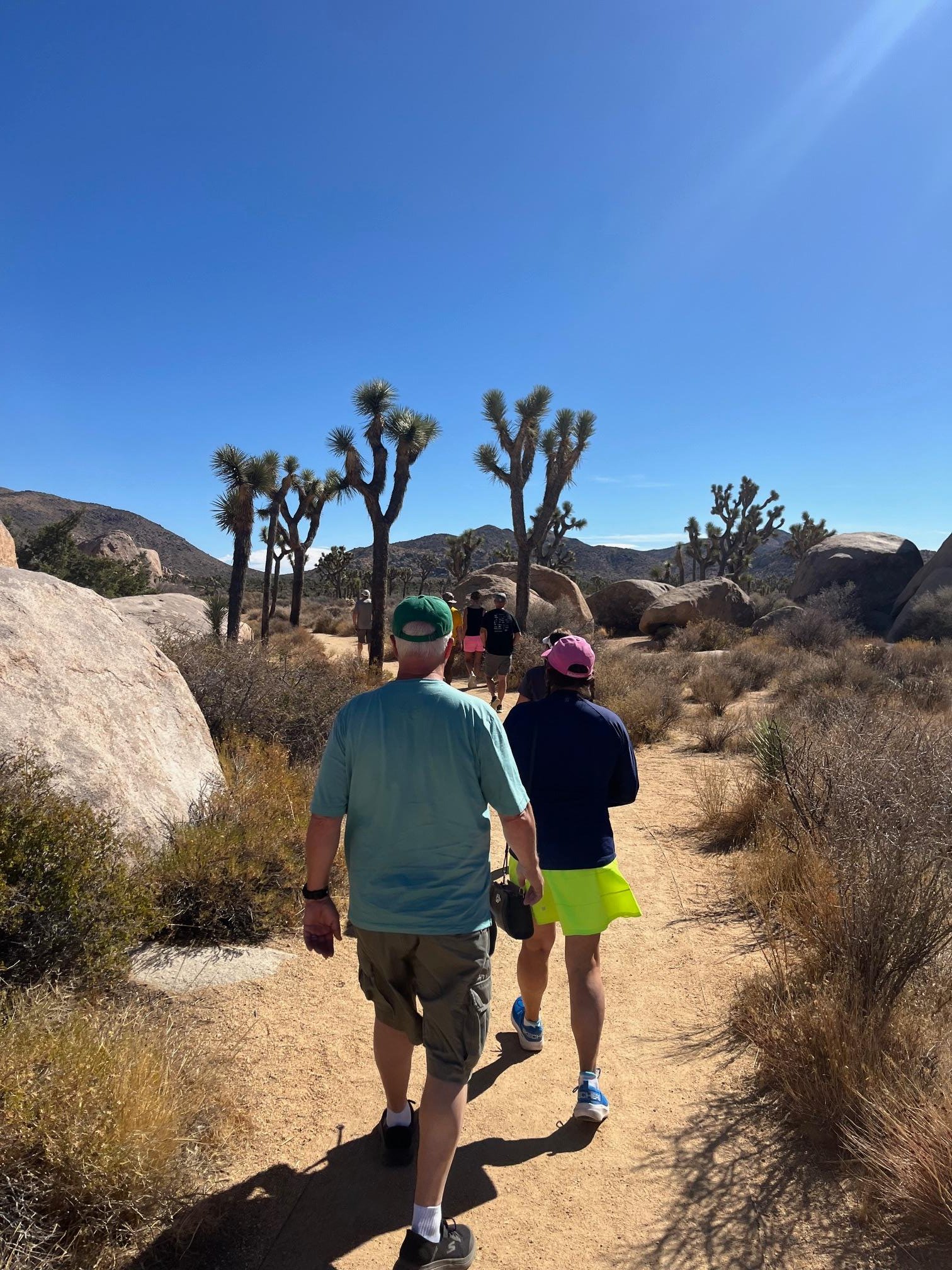 Private Group Joshua Tree National Park Guided Expedition