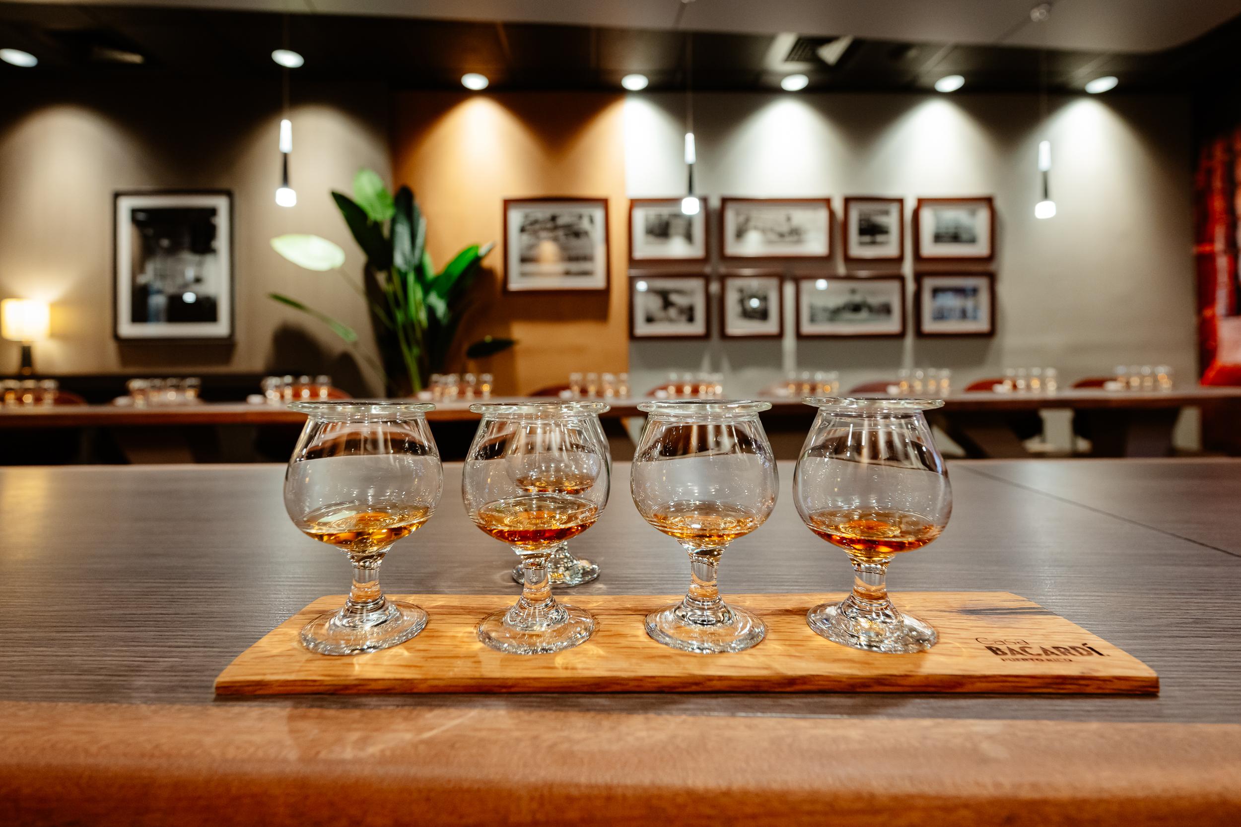 Casa Bacardi Distillery Experience in San Juan
