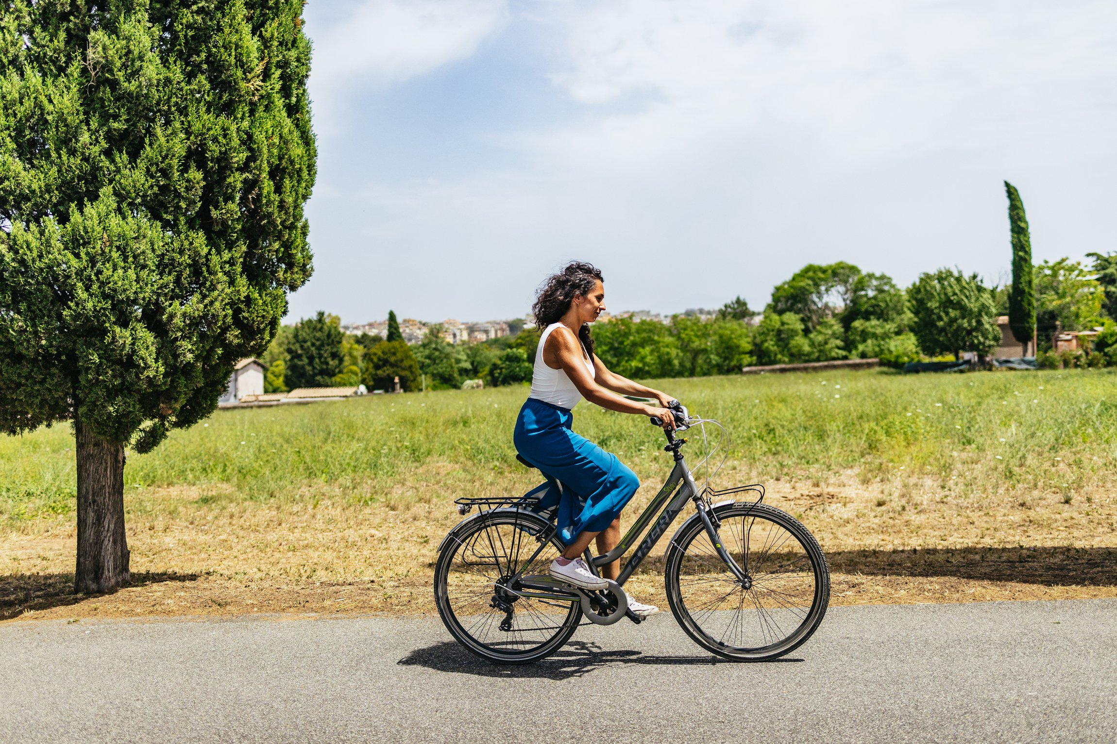Appia Antica bike rental Rome self guided Appian Way cycling — image 3