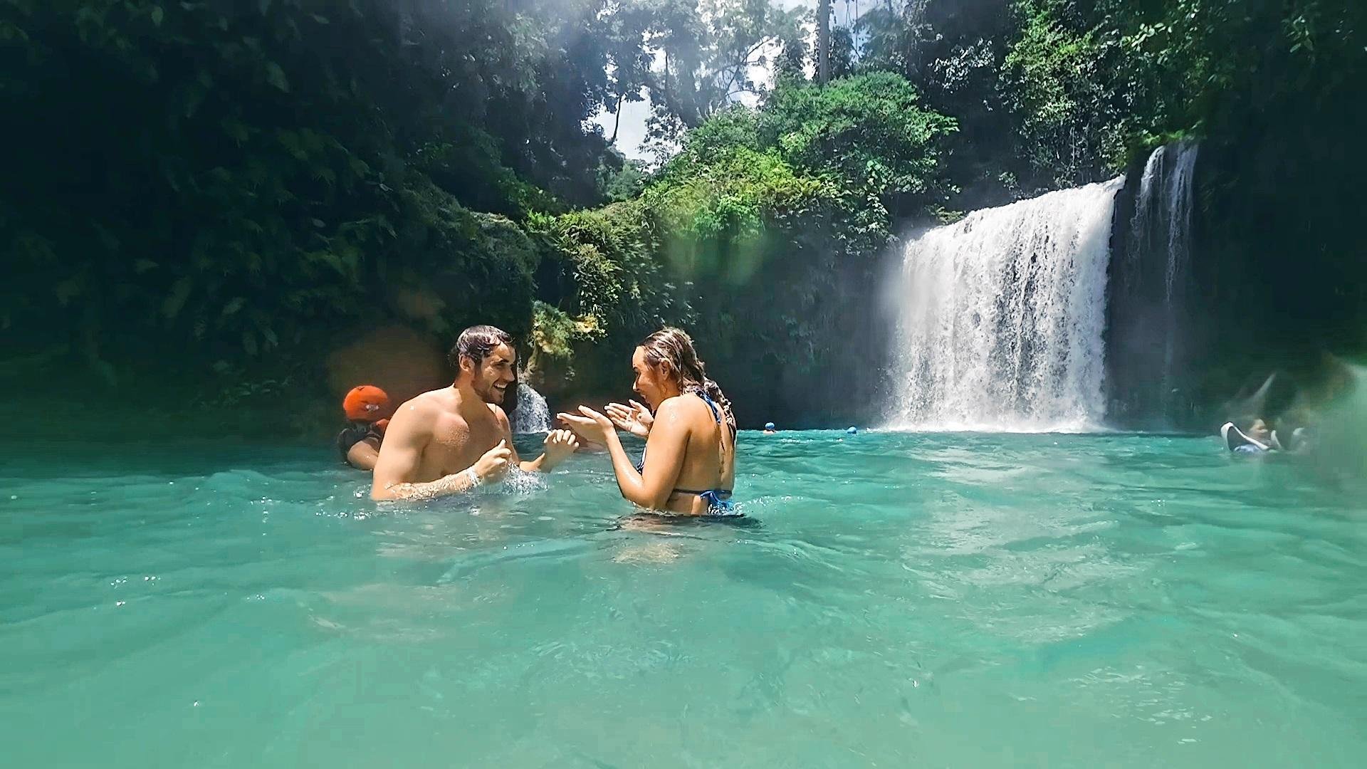 Cebu Whale Shark Swim & Kawasan Falls Canyoneering – Full-Day Adventure