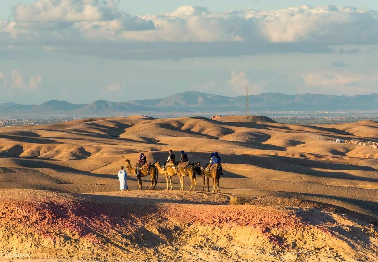 Agafay Desert Adventure: Quad Biking, Camel Ride & Berber Dinner Show