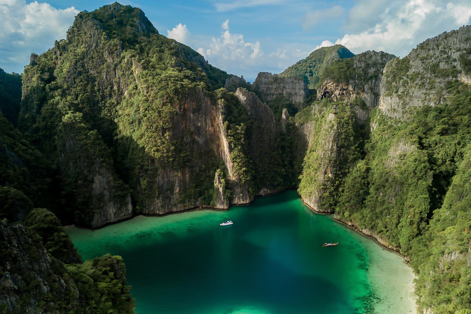 Early Bird Phi Phi Islands Speedboat Excursion