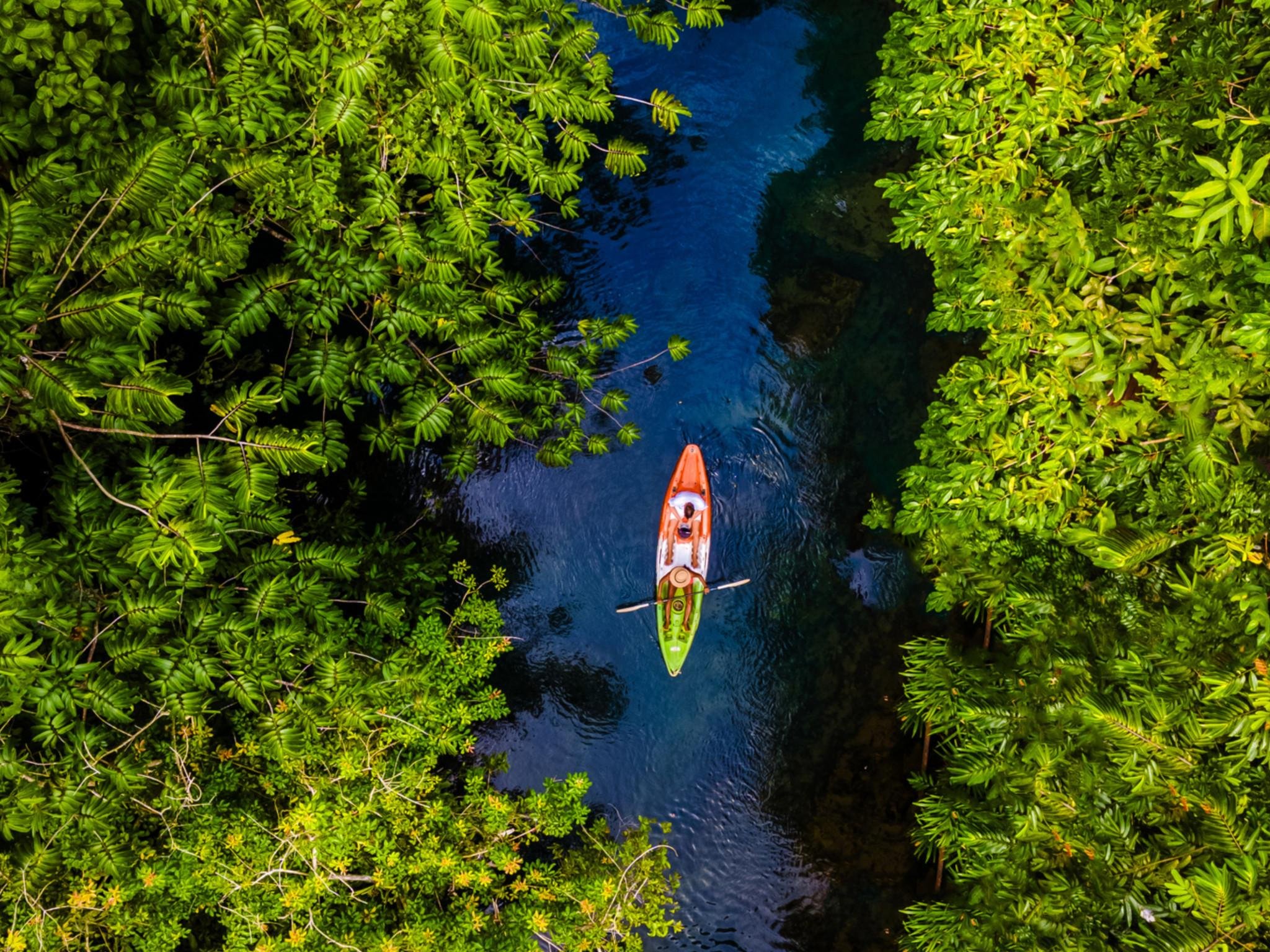 Ao Thalane Mangrove Kayak Adventure – Krabi