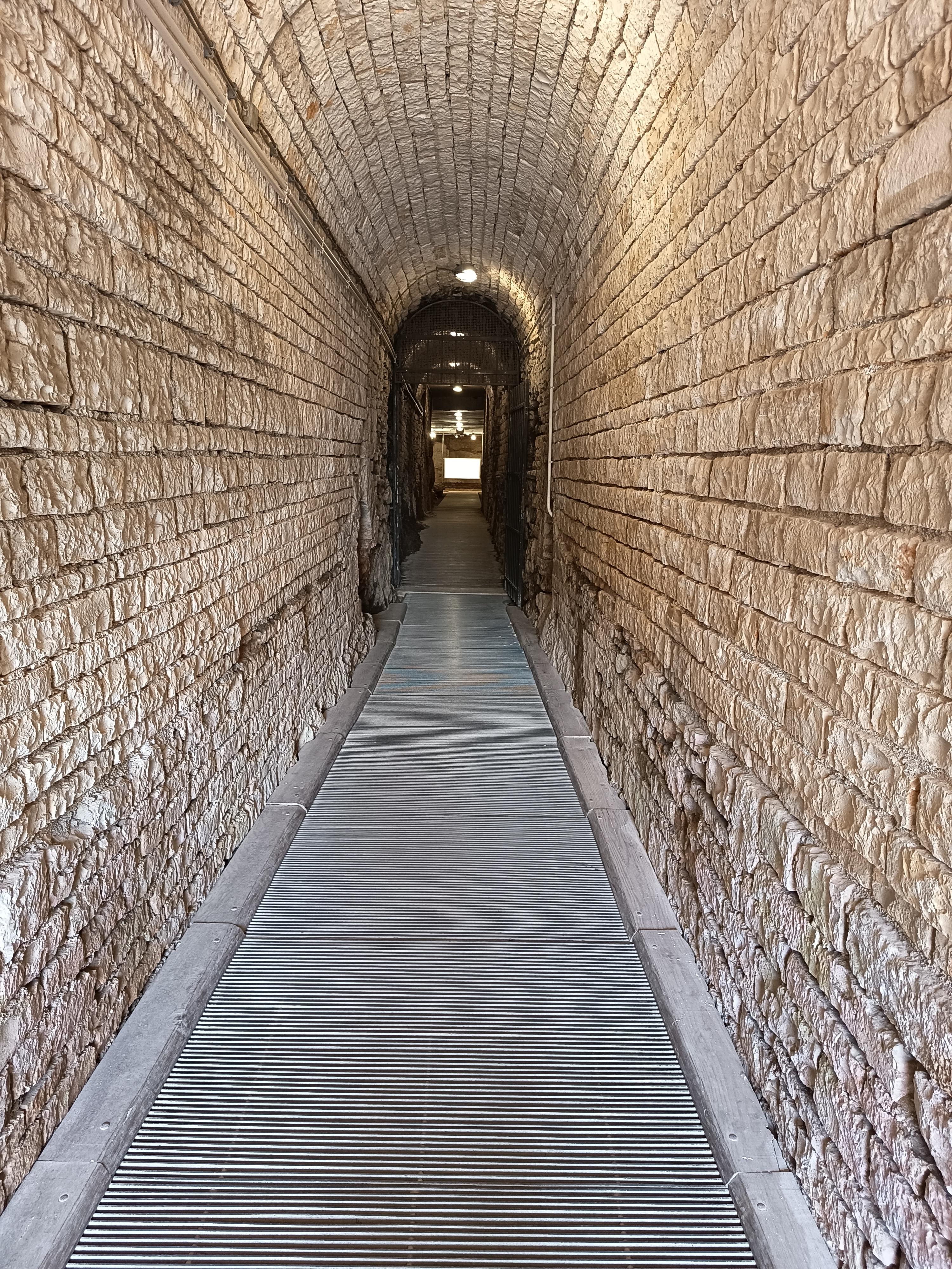 Pula Arena: Guided Roman History Tour with Admission