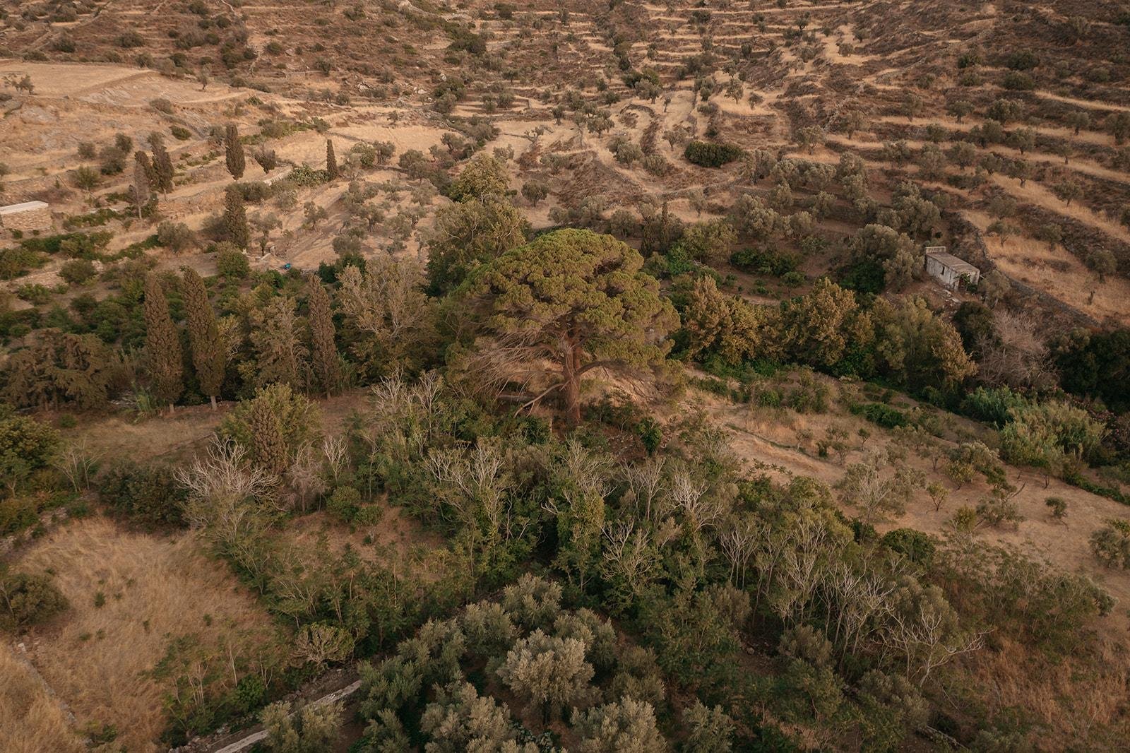 Greek island tour photo — image 20