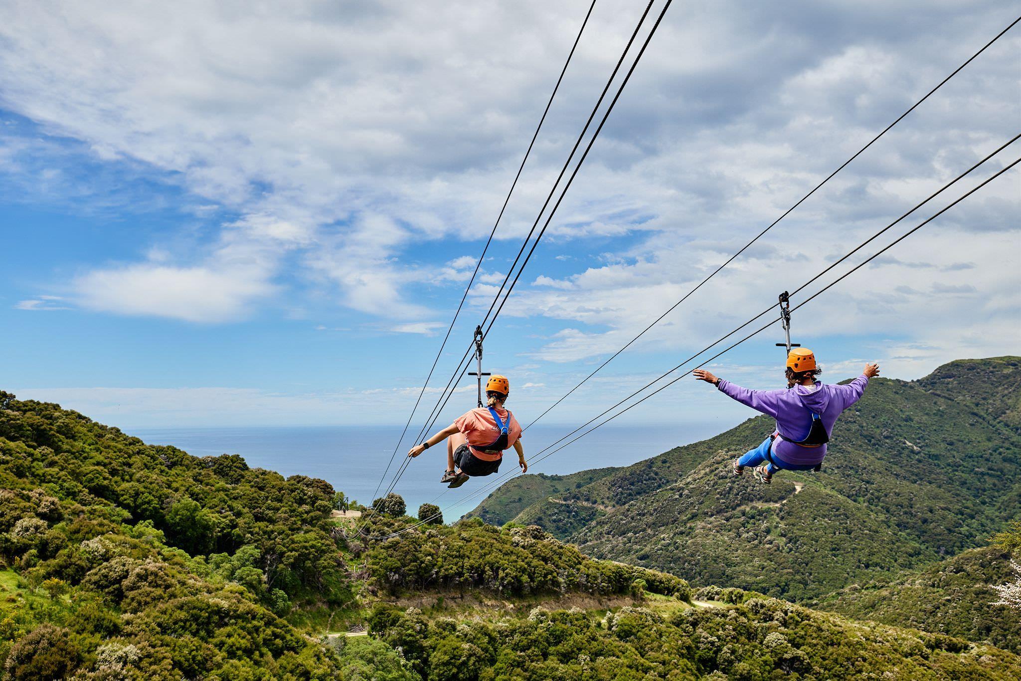 Kaikōura Zipline & Forest Adventure
