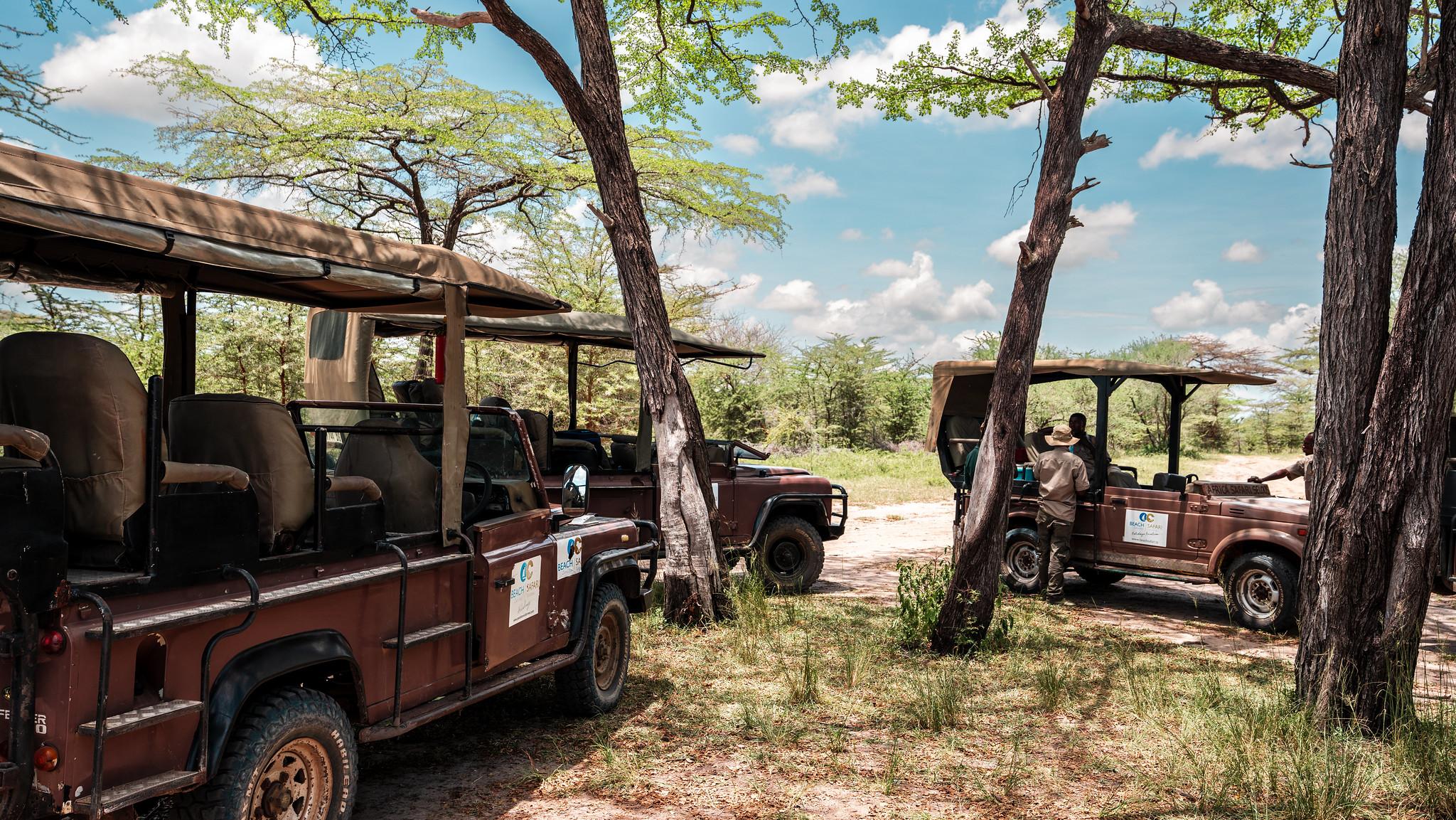 Zanzibar to Selous: Full-Day Safari with Bush Lunch (+ 2-Day Option)