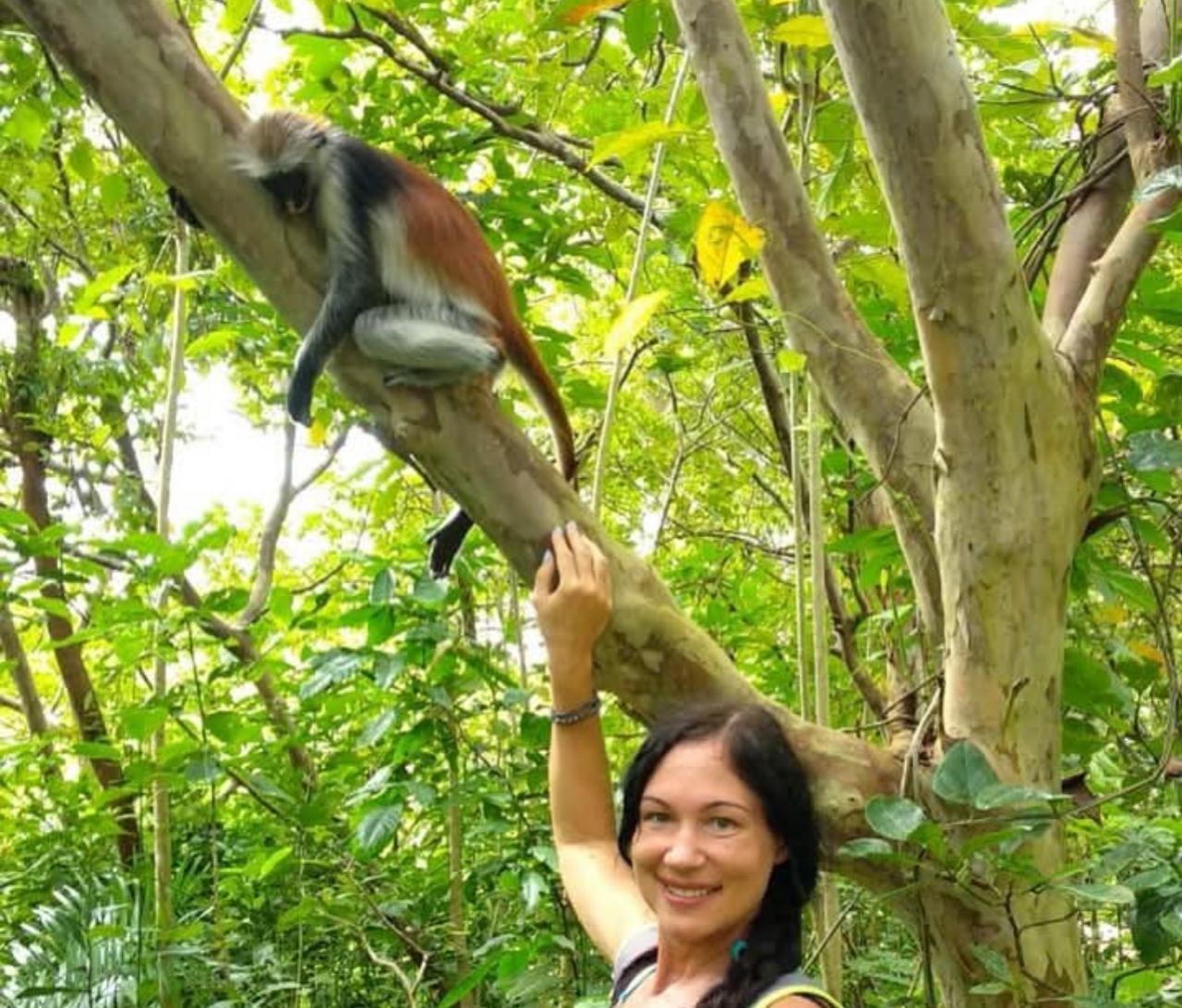 Zanzibar: Jozani Forest, Salaam Cave & The Rock Restaurant Day Tour