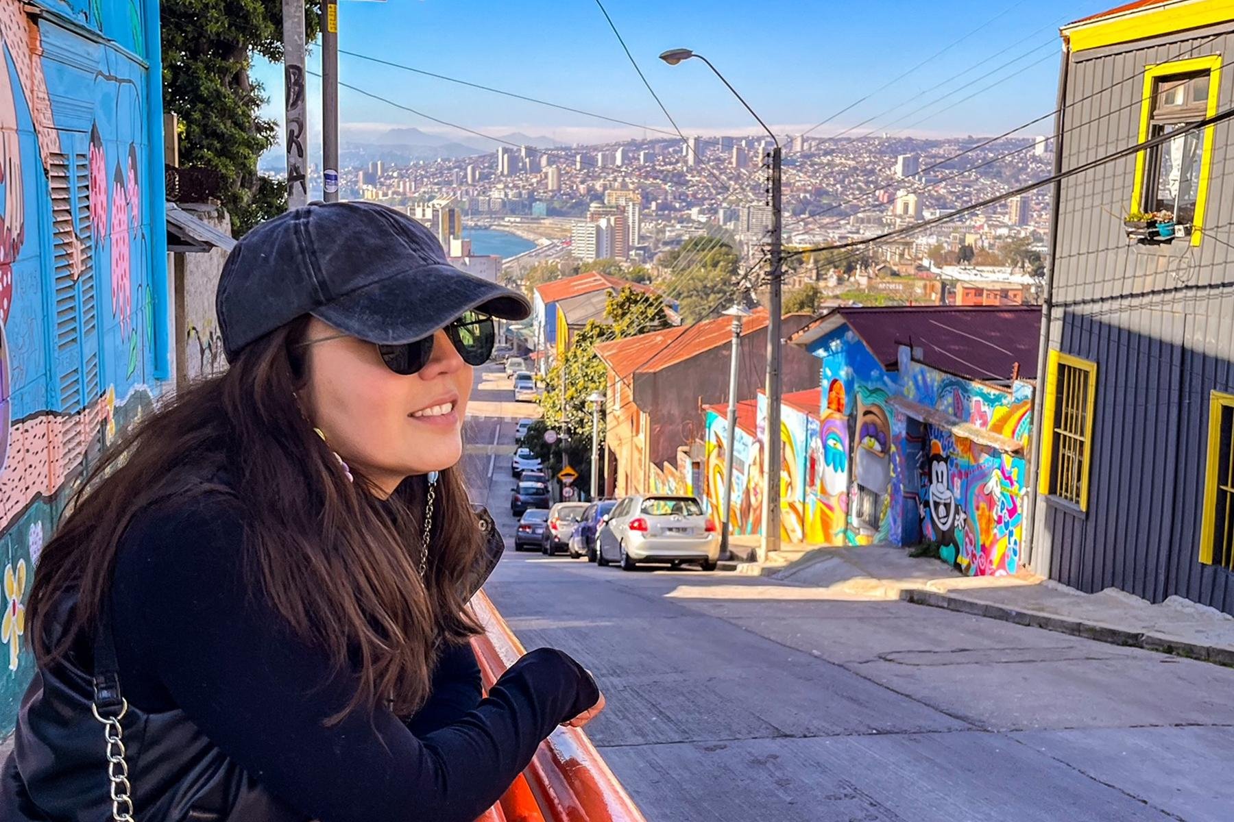 Valparaíso wine tour, the Casablanca Valley and Valparaíso's hills — image 35