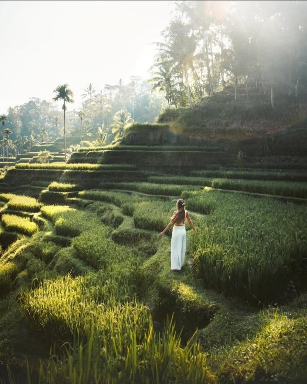 Bali Private Mt. Batur Sunrise Jeep & Ubud Full-Day Combo