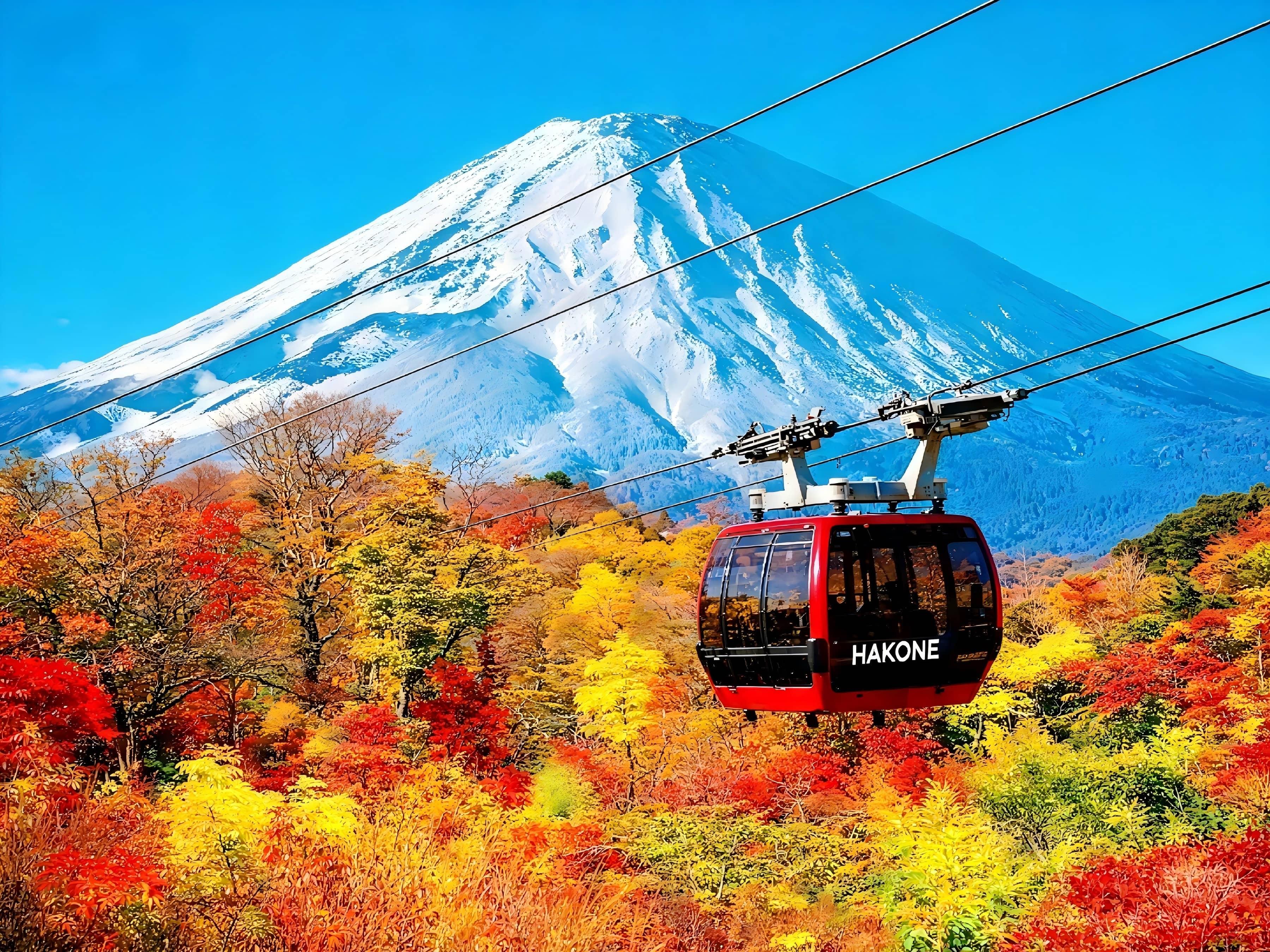 Hakone Private Day Tour: Owakudani, Ropeway & Matcha Cruise from Tokyo
